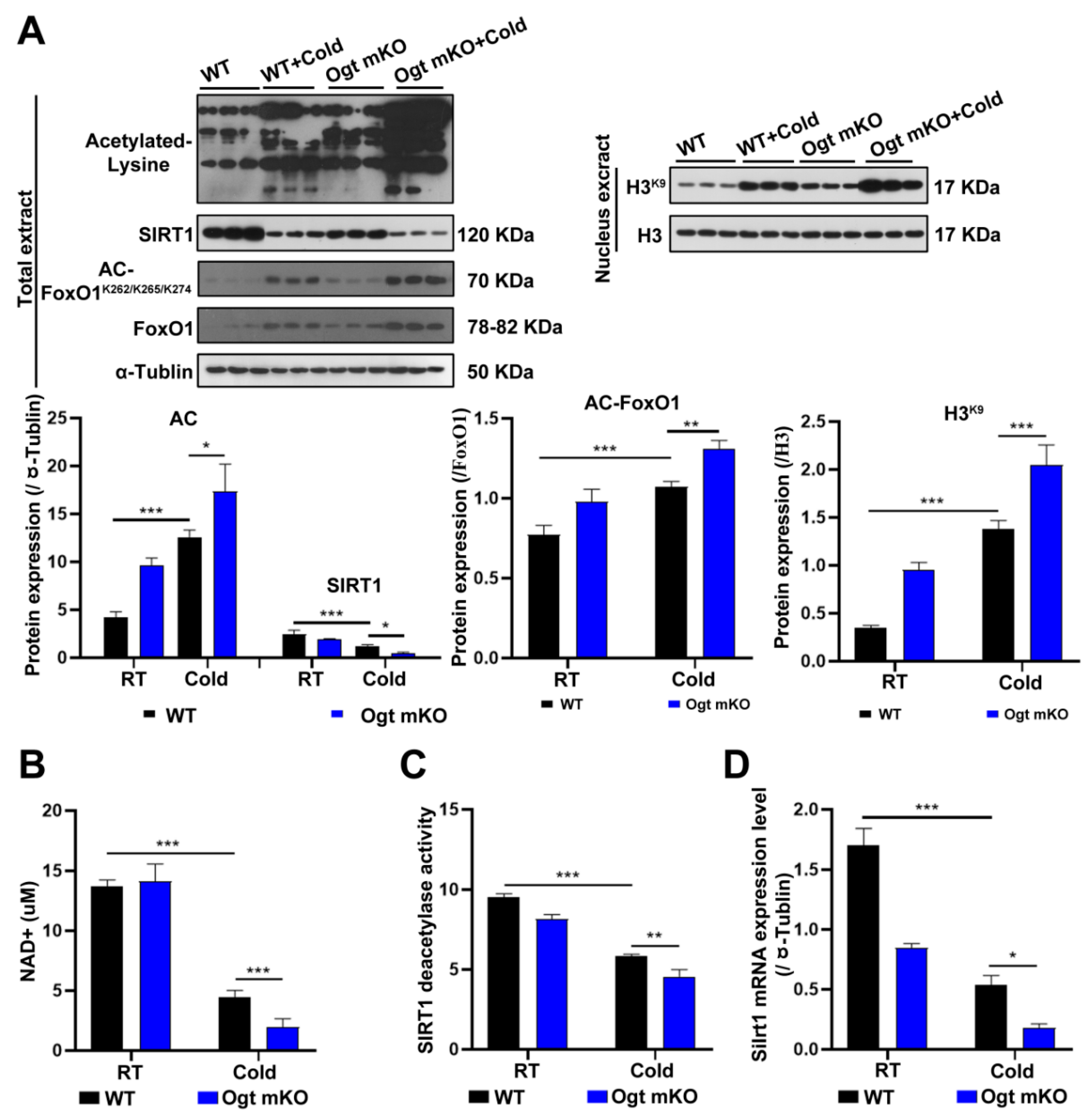 Ijms 23 14520 g003 Ijms 23 14520 g003
