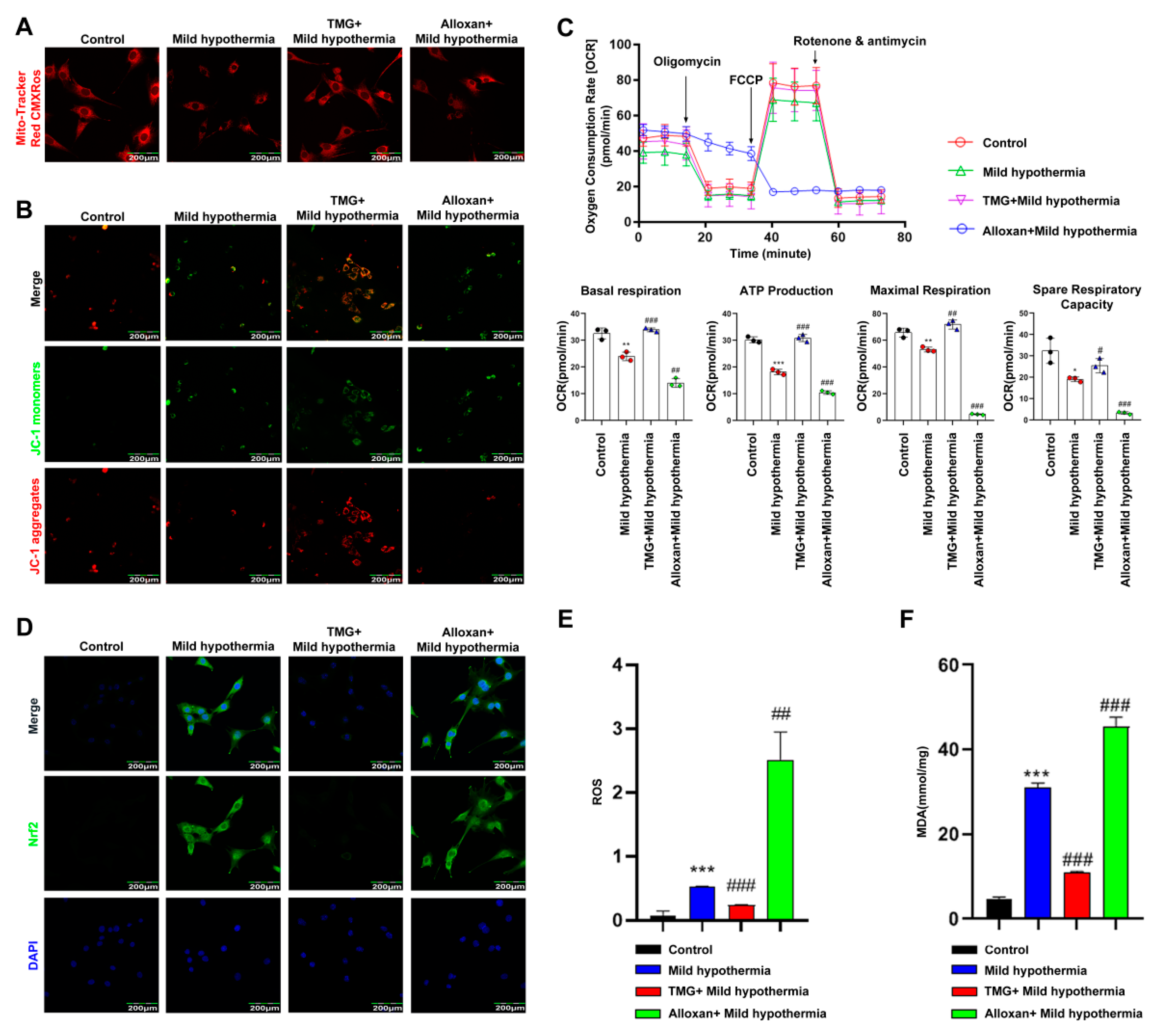 Ijms 23 14520 g005 Ijms 23 14520 g005