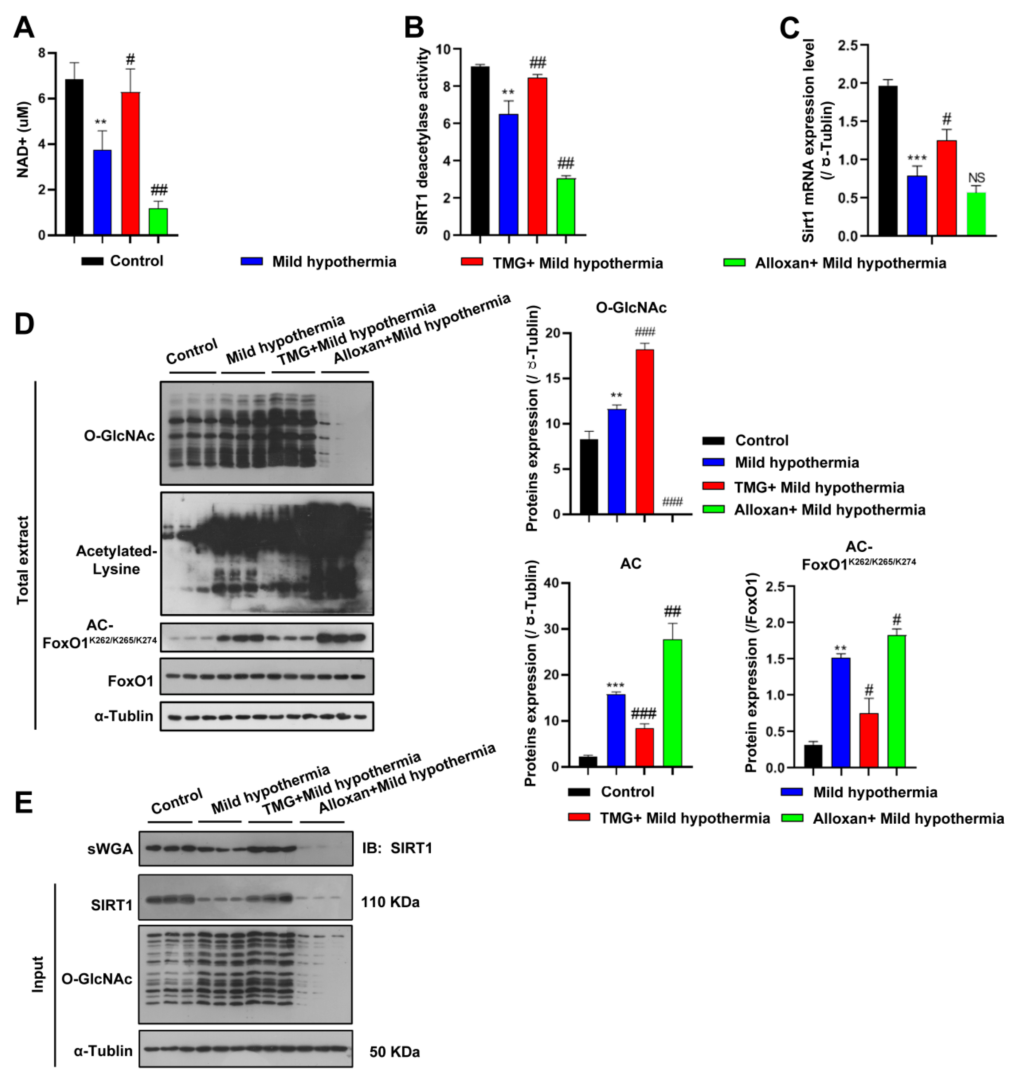 Ijms 23 14520 g006 Ijms 23 14520 g006