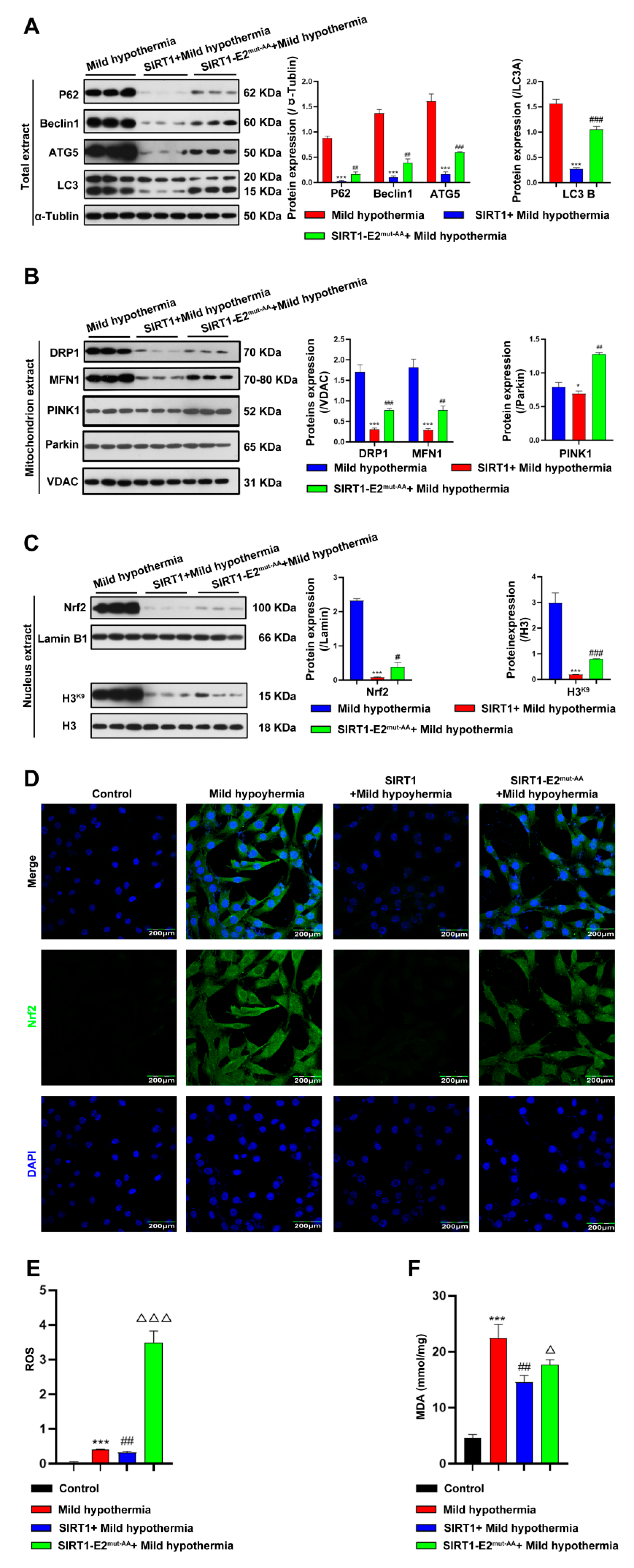 Ijms 23 14520 g007 Ijms 23 14520 g007