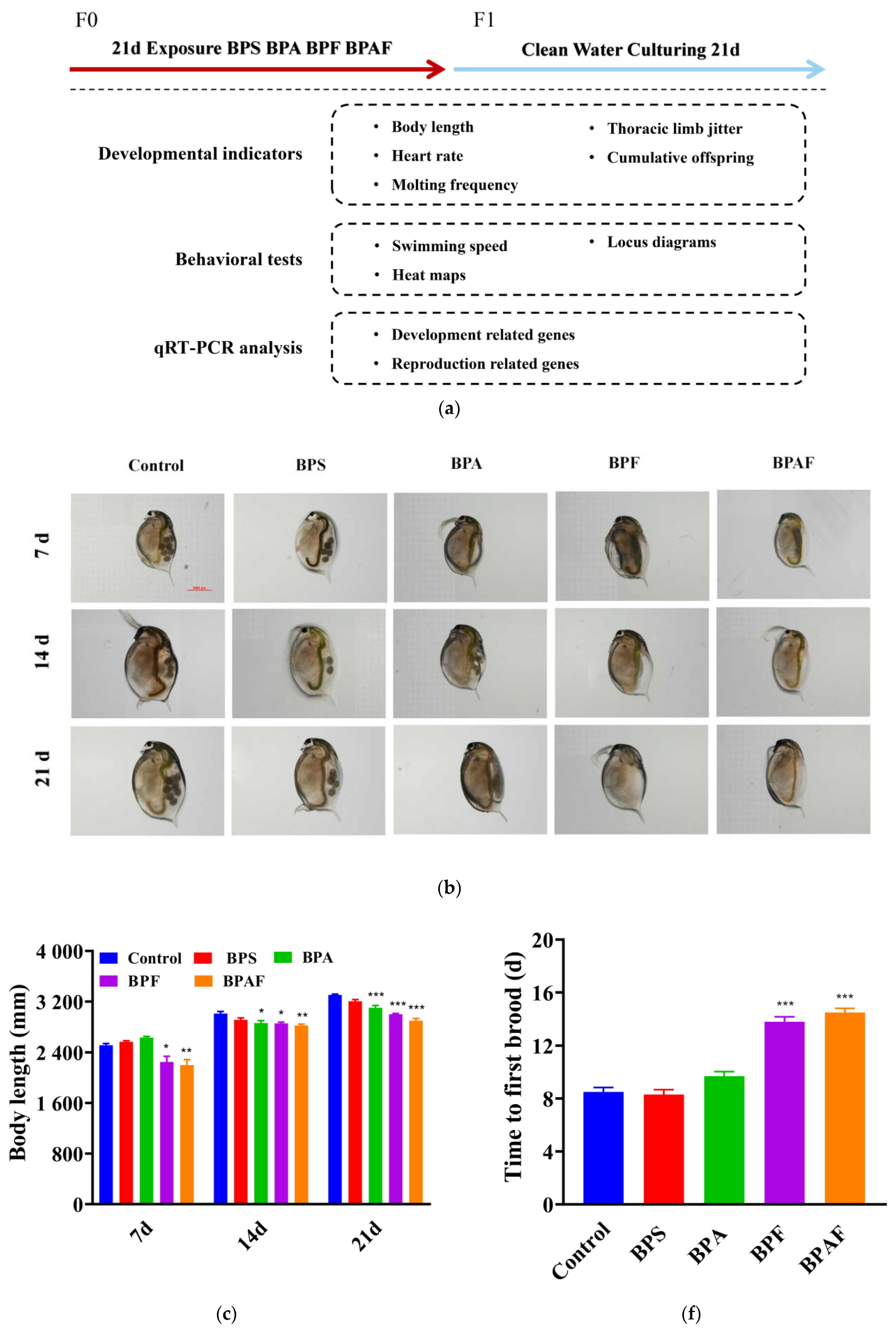 Ijms 23 14561 g001a Ijms 23 14561 g001a