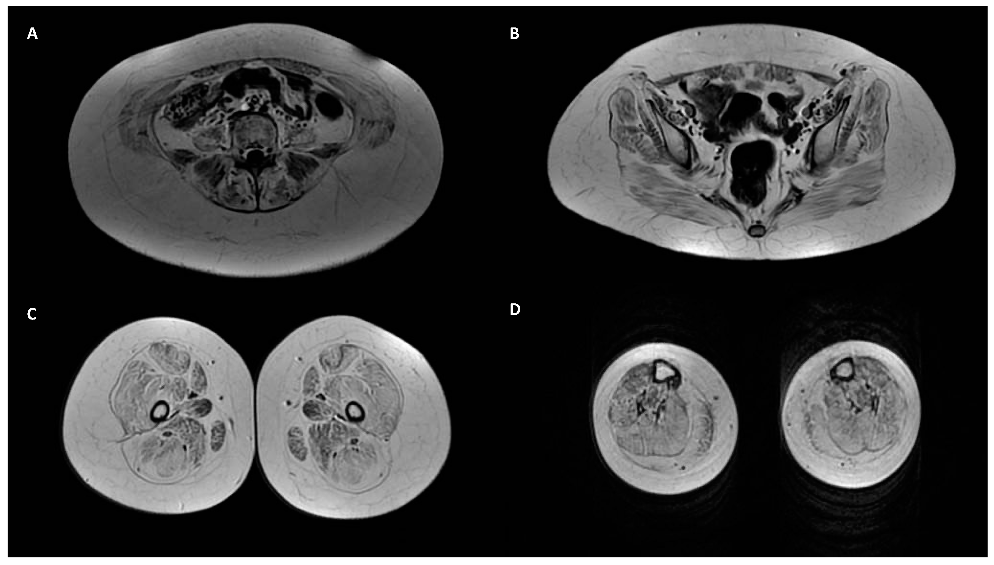 Ijms 23 14567 g003 Ijms 23 14567 g003