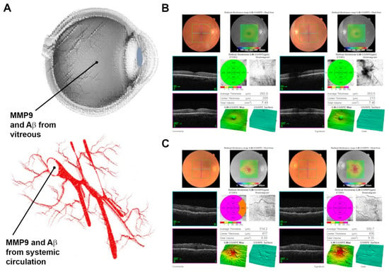 IJMS Free Full Text An Exploratory Study Provides Insights