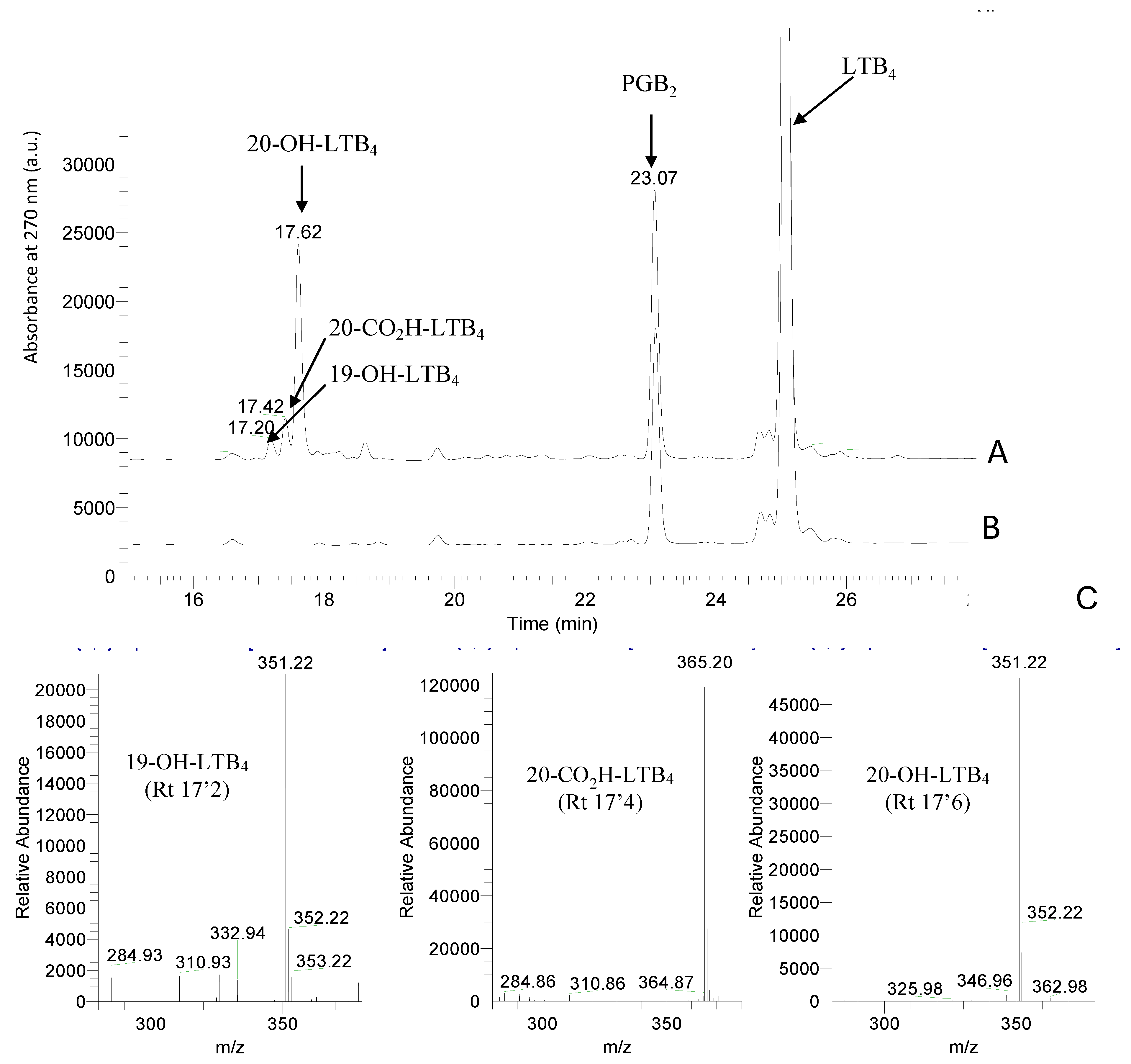 Ijms 23 14615 g001 Ijms 23 14615 g001