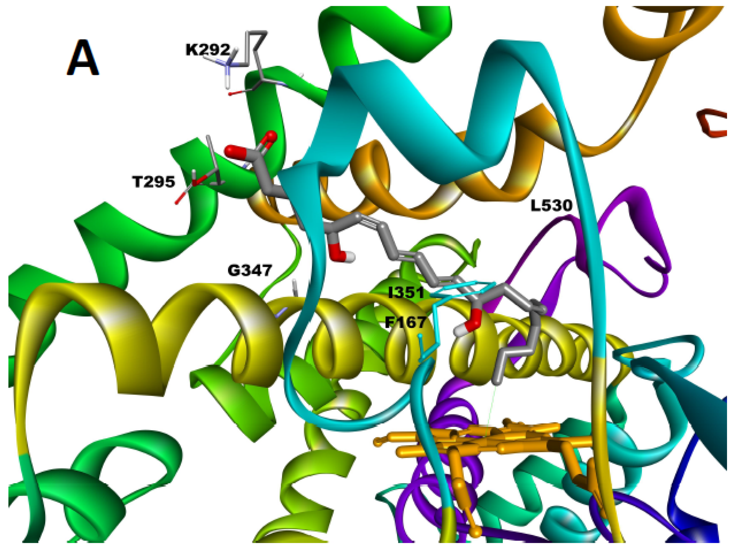 Ijms 23 14615 g003a Ijms 23 14615 g003a