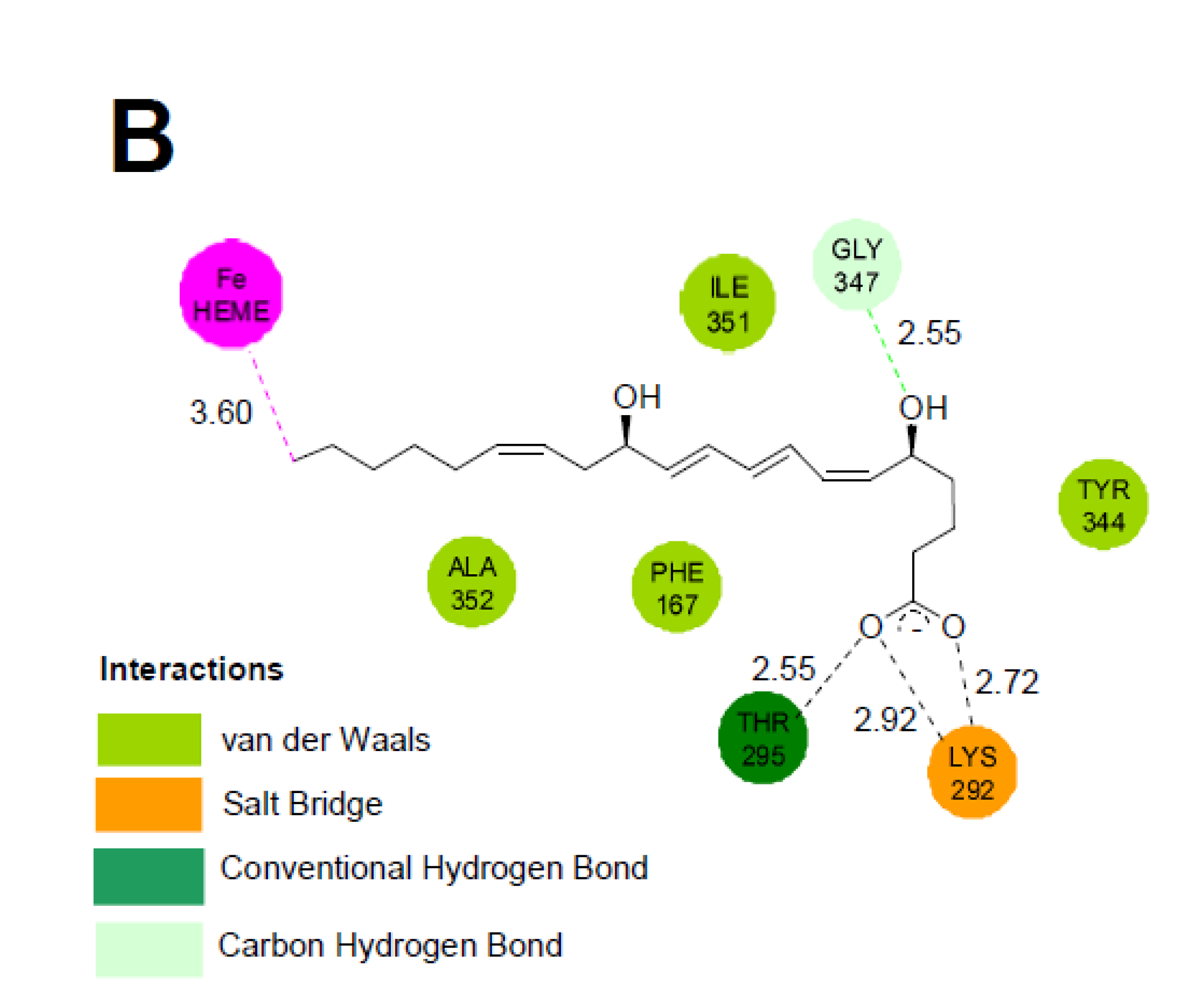 Ijms 23 14615 g003b Ijms 23 14615 g003b