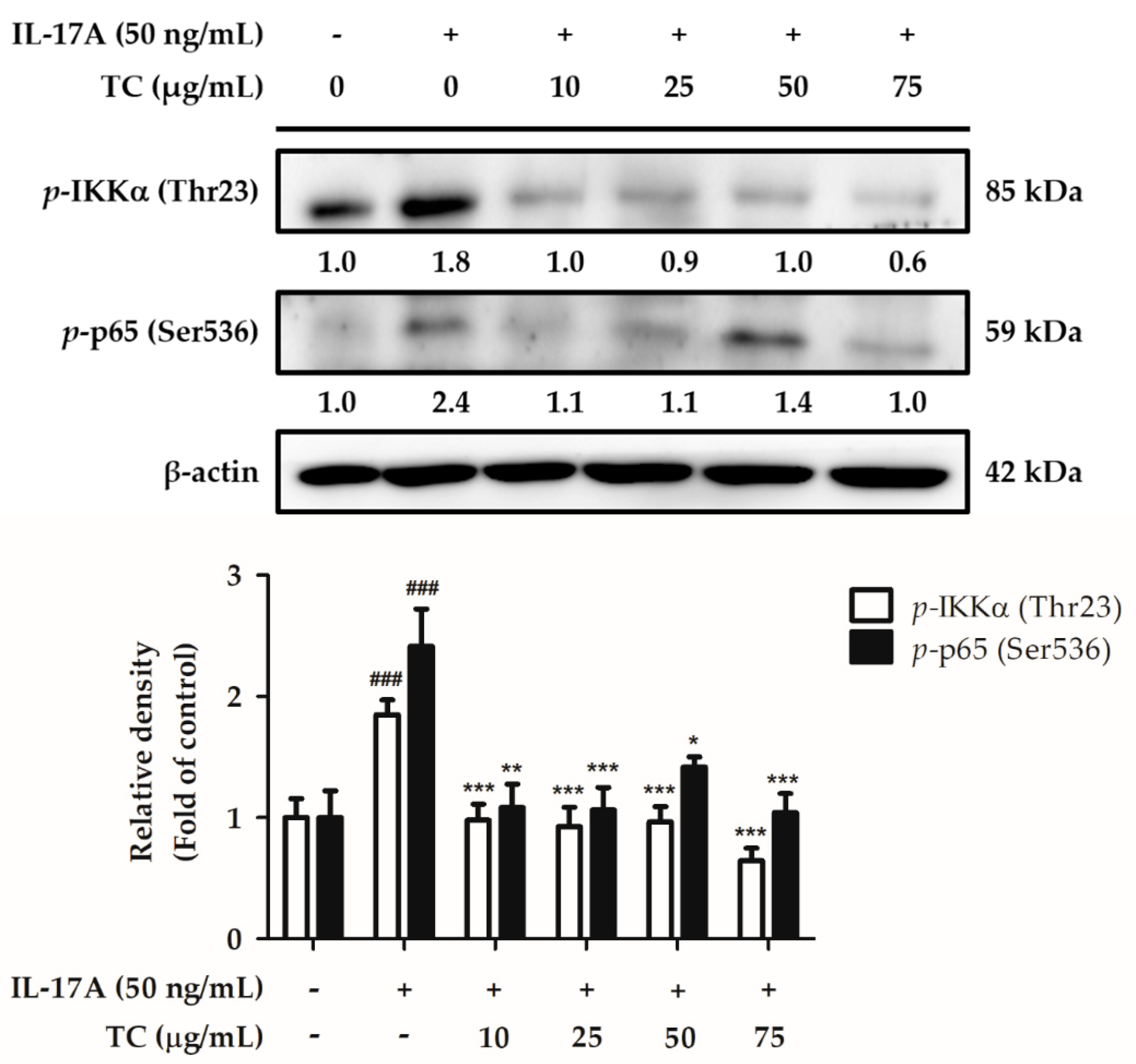 Ijms 23 14623 g010 Ijms 23 14623 g010