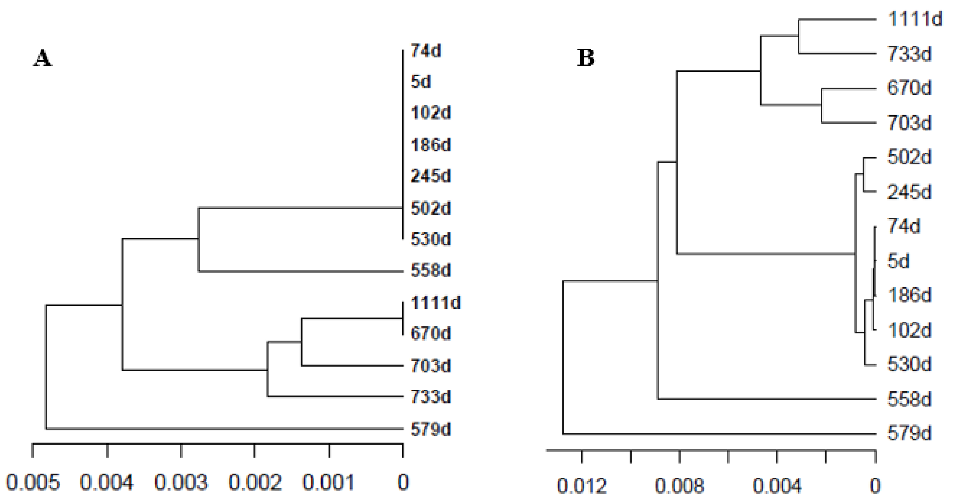 Ijms 23 14654 g004 Ijms 23 14654 g004