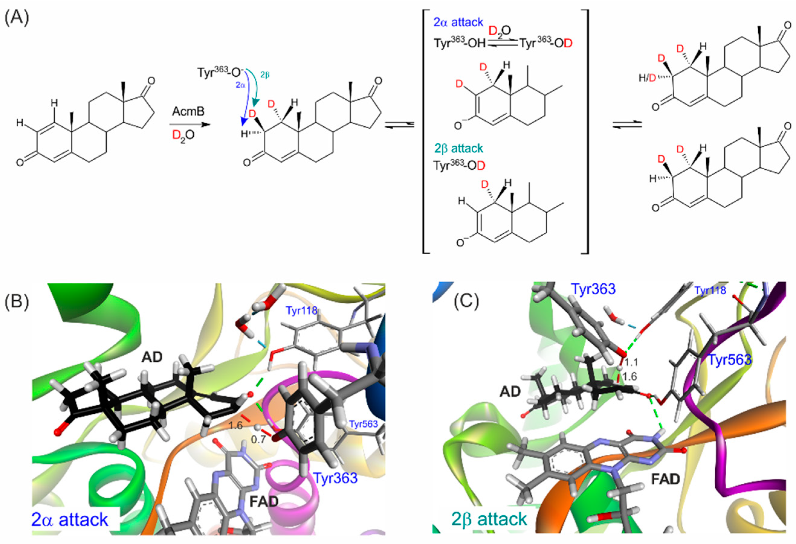 Ijms 23 14660 g003 Ijms 23 14660 g003