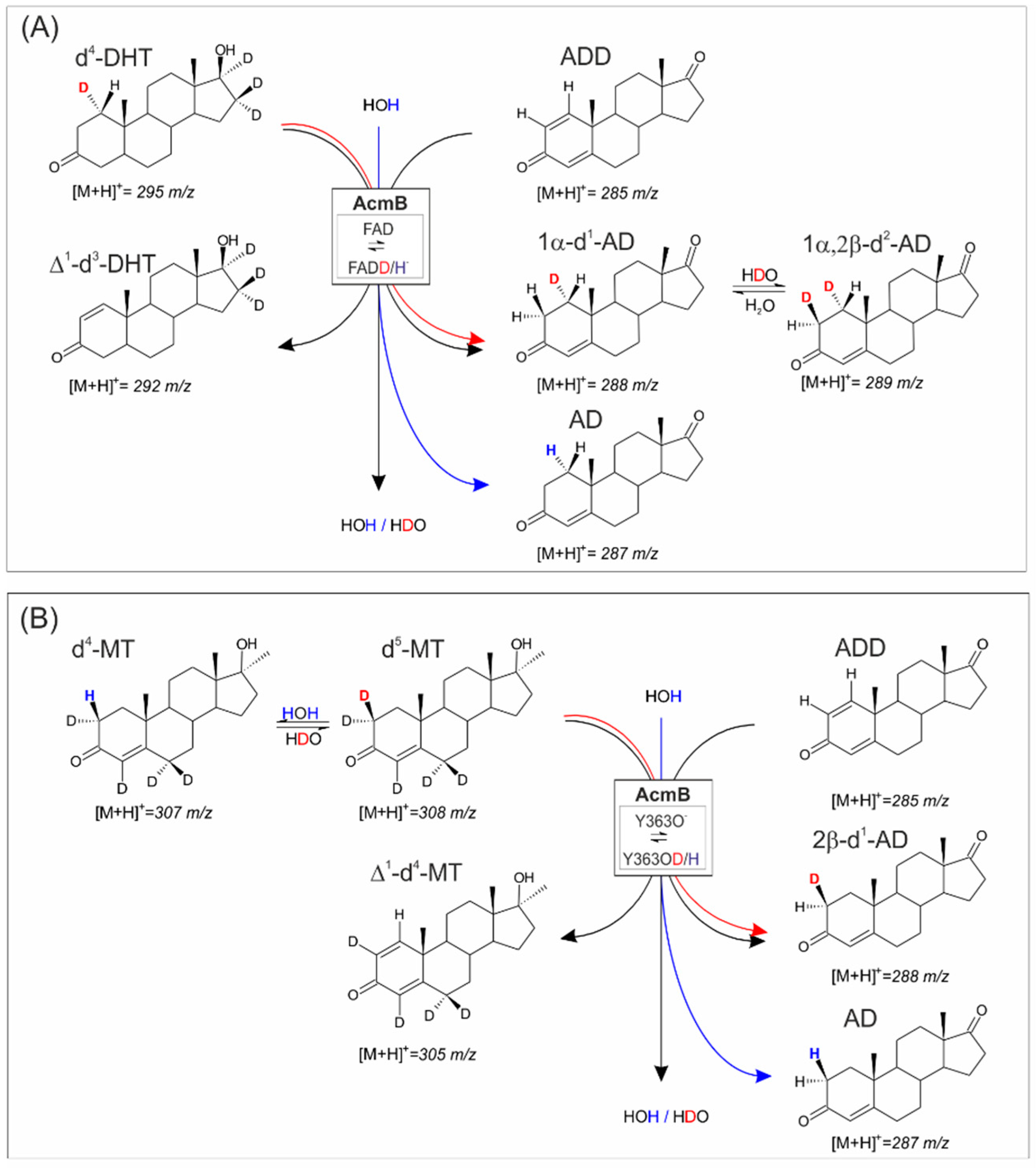 Ijms 23 14660 g004 Ijms 23 14660 g004