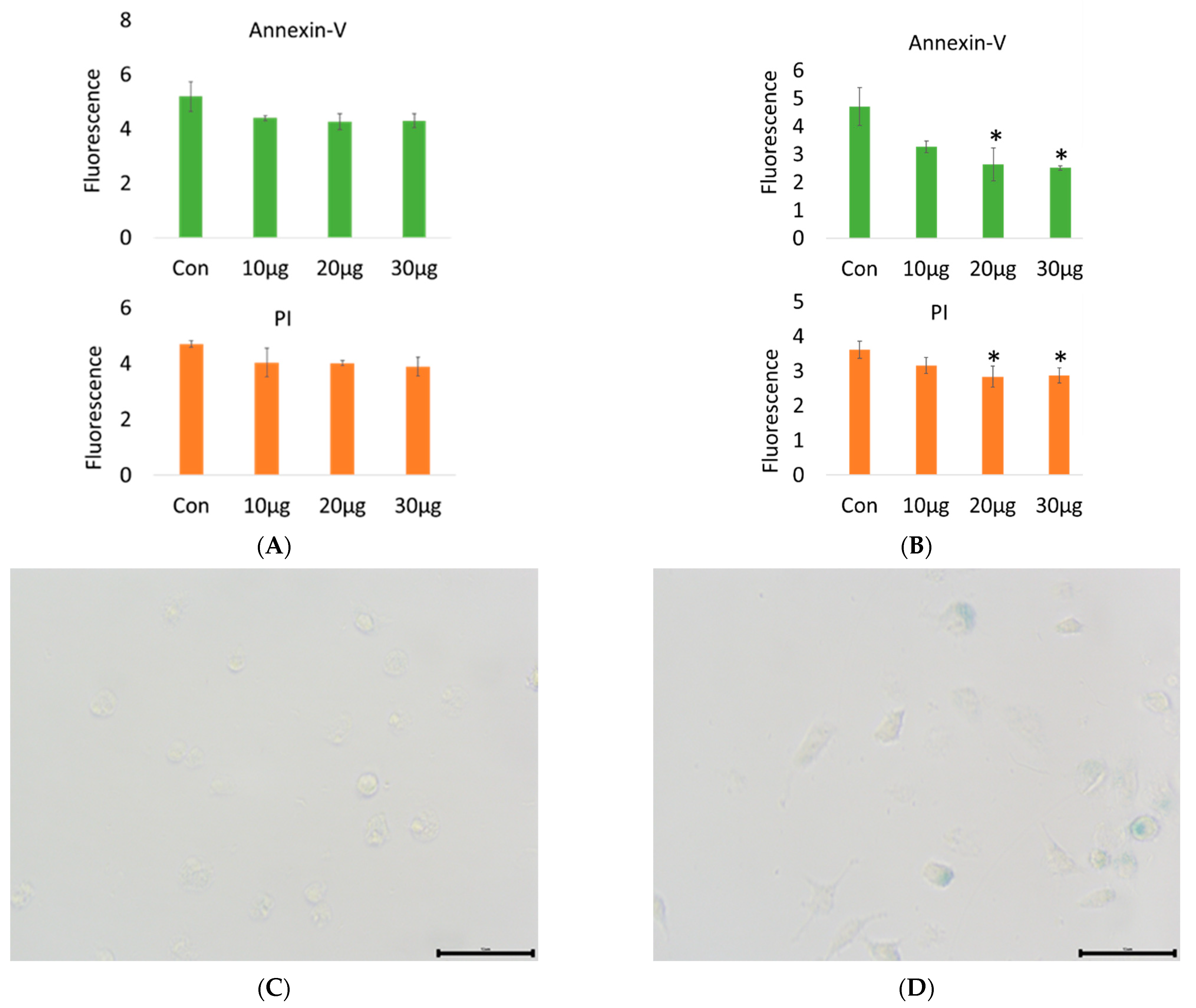 Ijms 23 14662 g002 Ijms 23 14662 g002