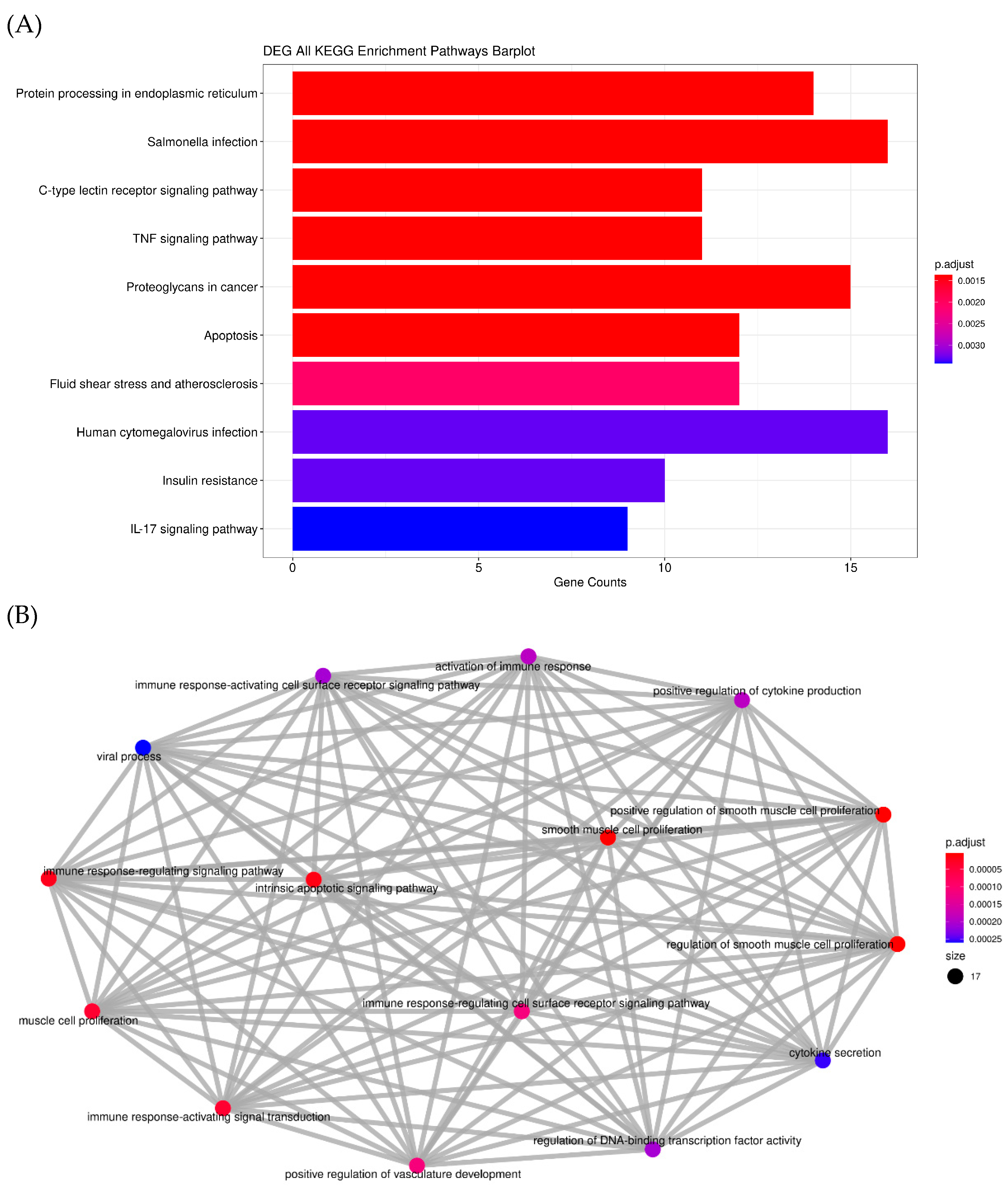 Ijms 23 14662 g004a Ijms 23 14662 g004a