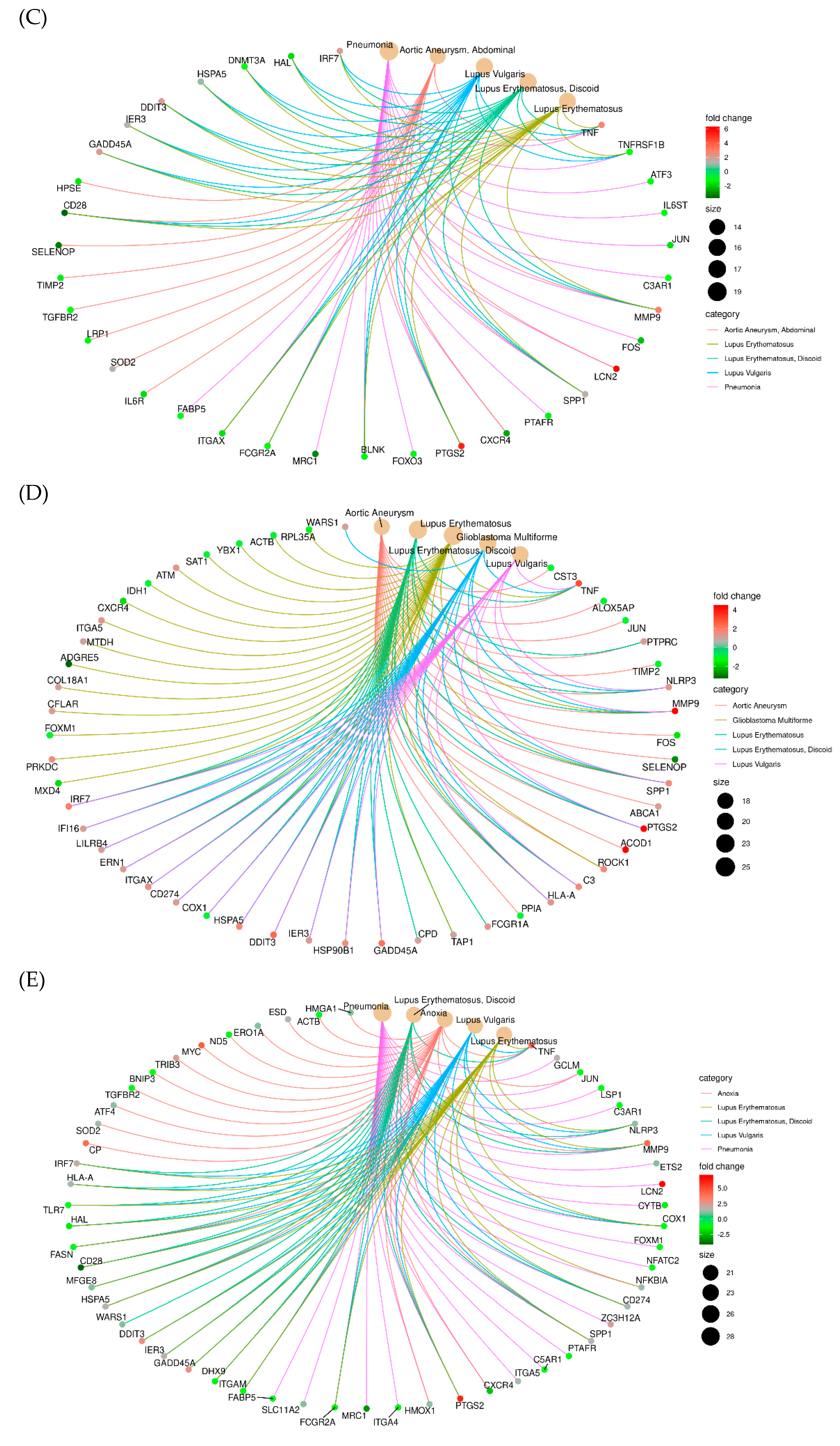 Ijms 23 14662 g004b Ijms 23 14662 g004b