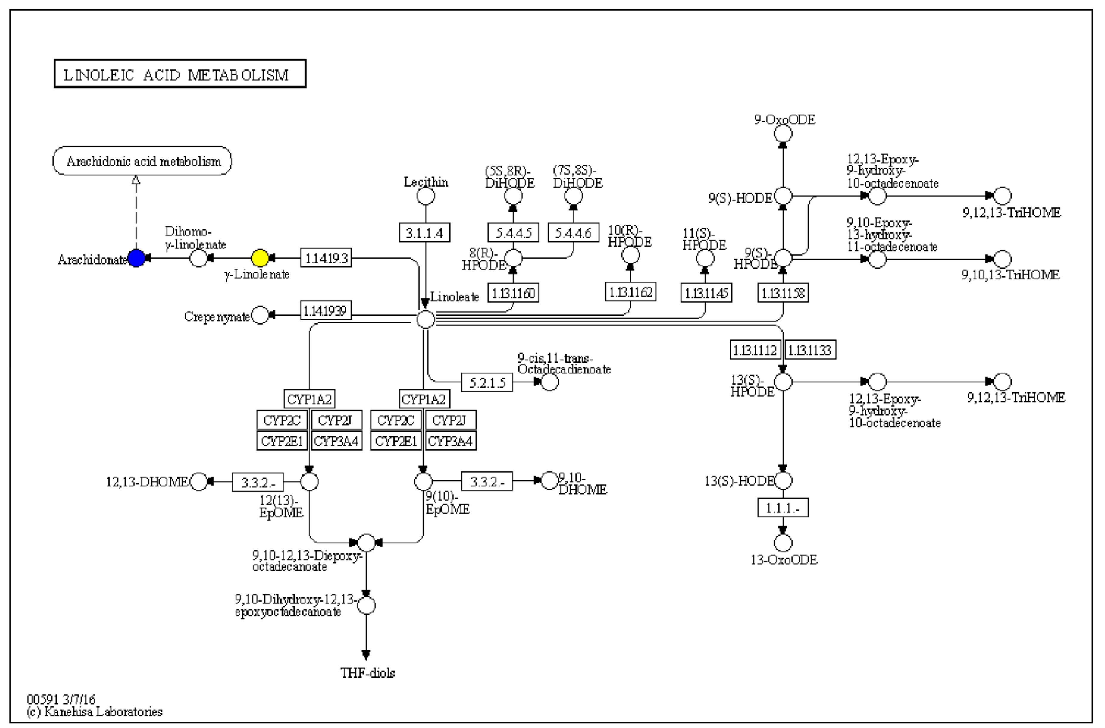 Ijms 23 14662 g007 Ijms 23 14662 g007