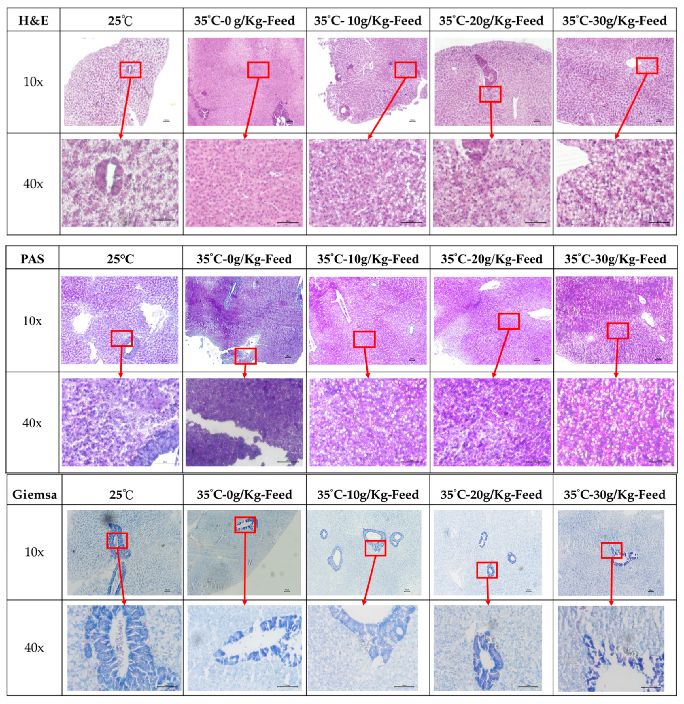 Ijms 23 14662 g008 Ijms 23 14662 g008