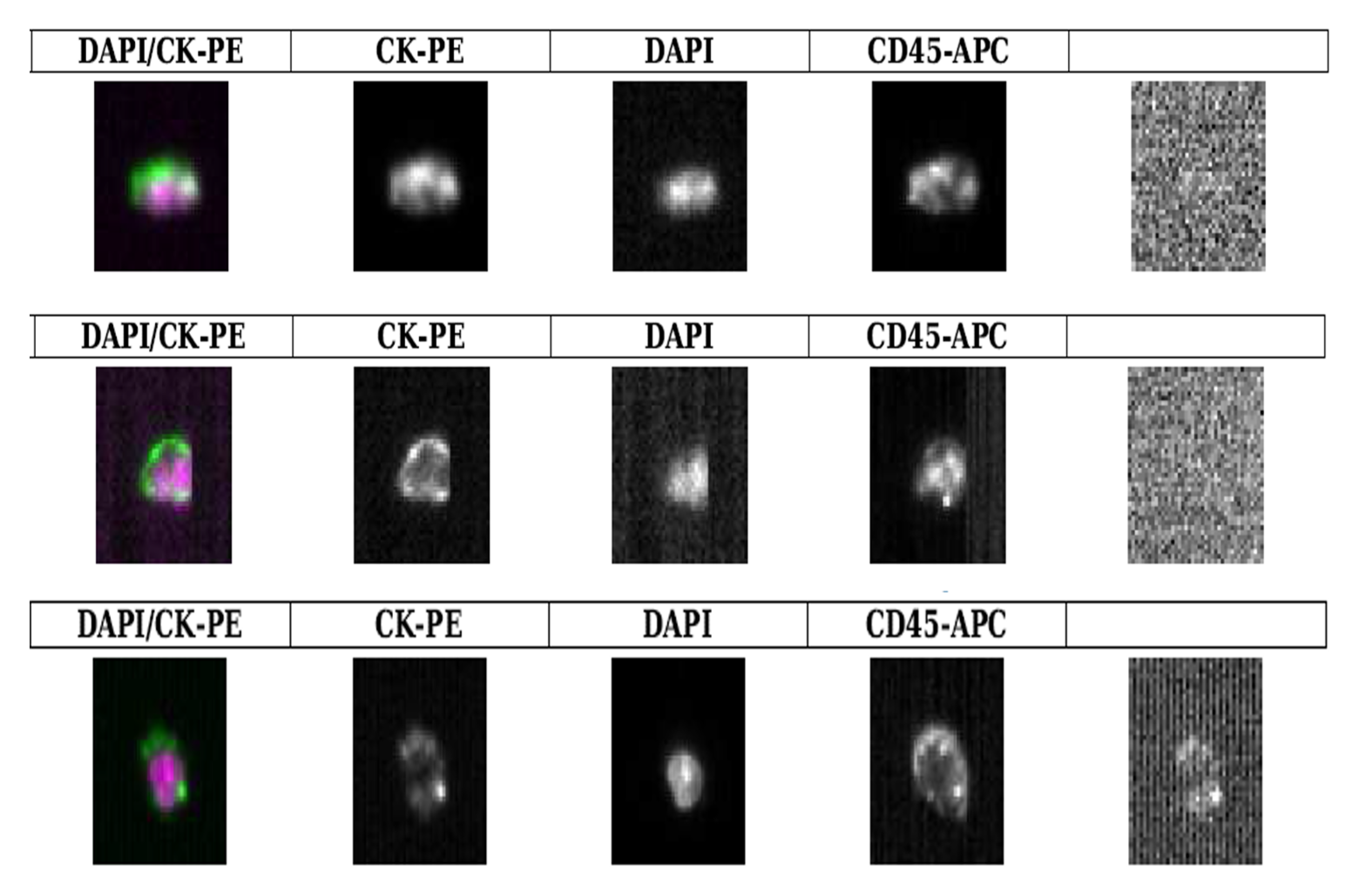 Ijms 23 14687 g005 Ijms 23 14687 g005