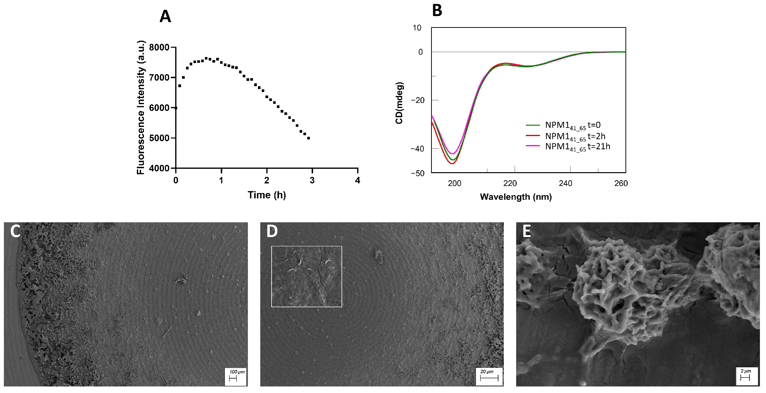 Ijms 23 14704 g002 Ijms 23 14704 g002
