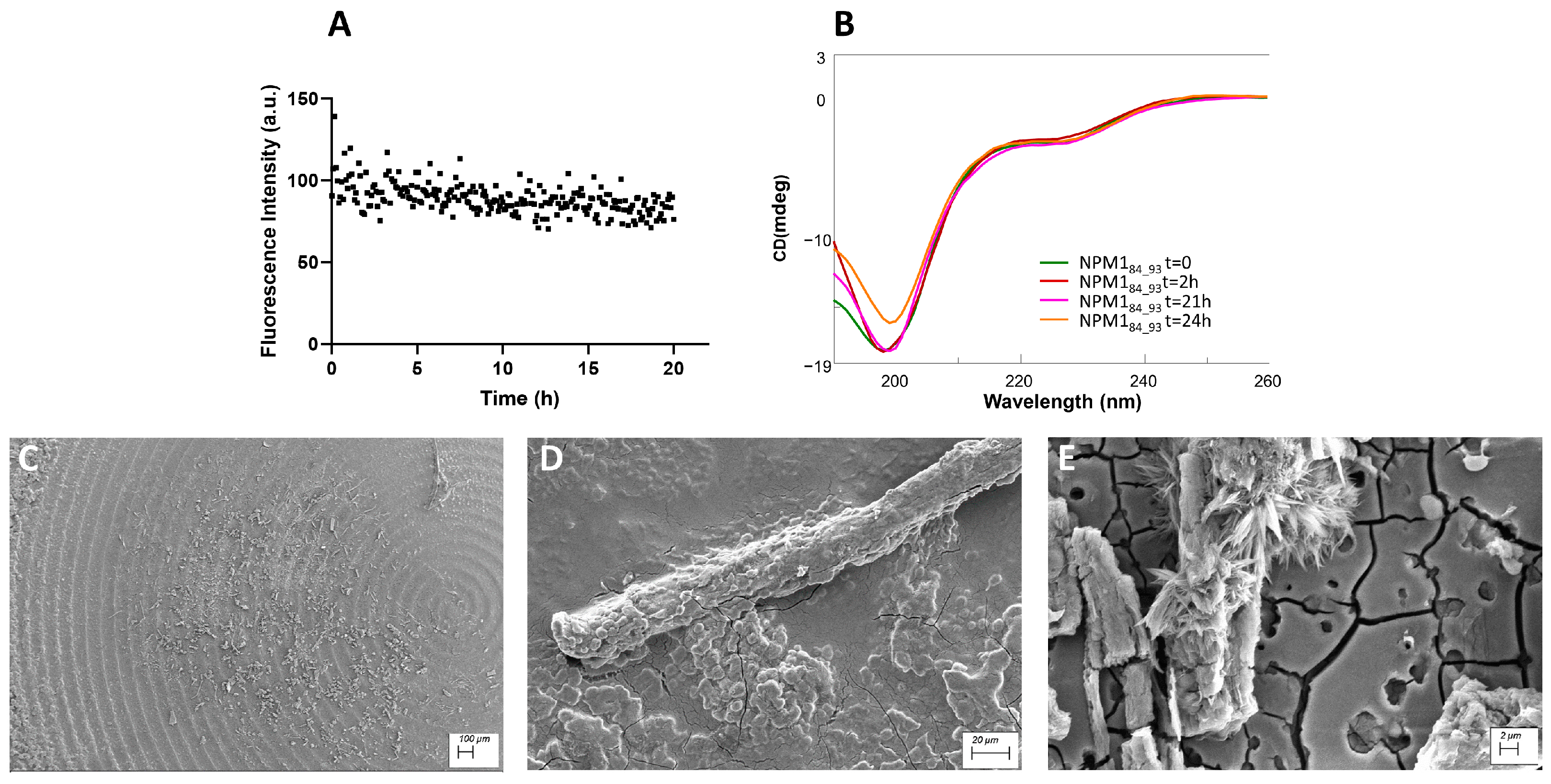 Ijms 23 14704 g005 Ijms 23 14704 g005