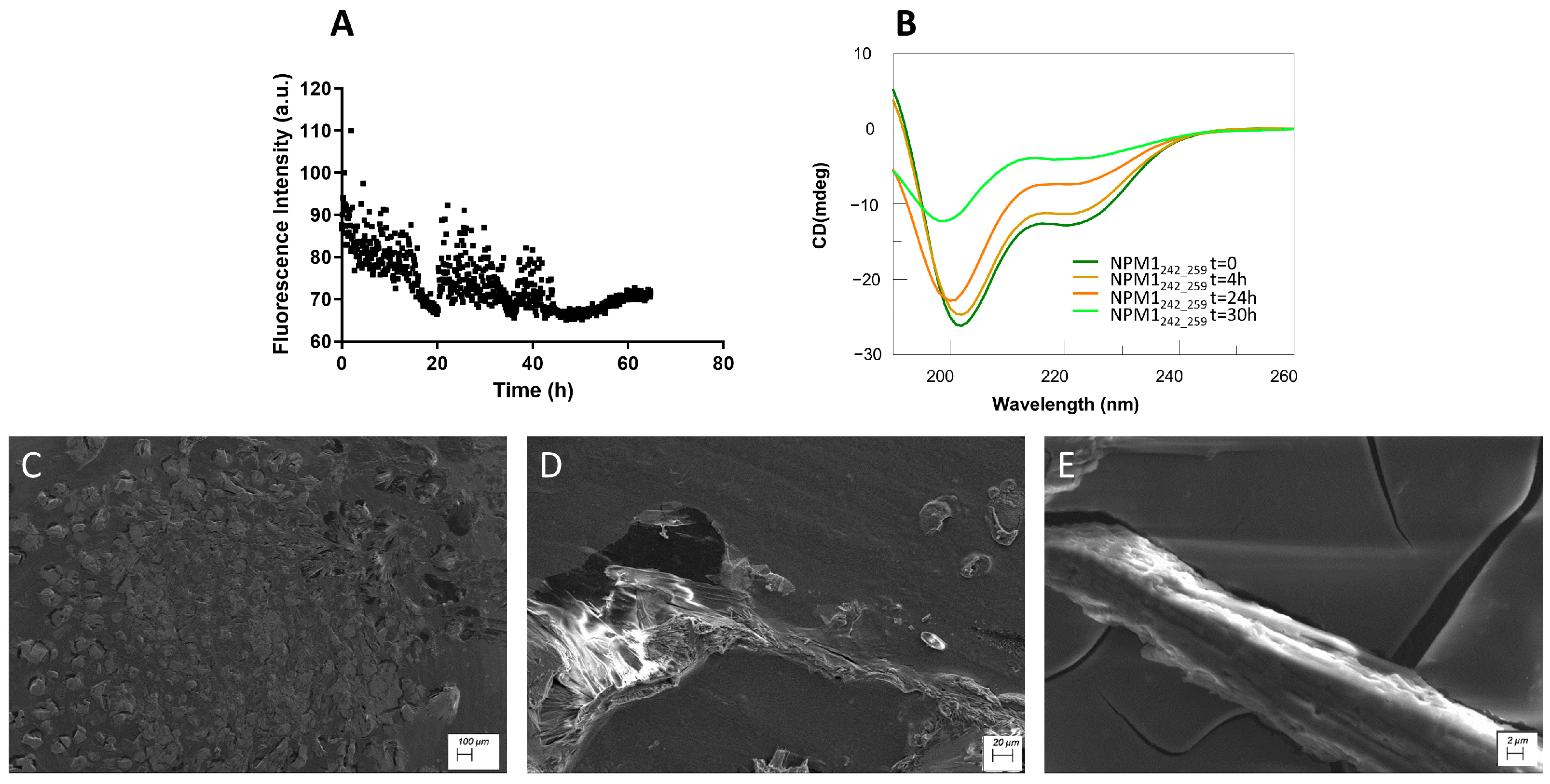 Ijms 23 14704 g007 Ijms 23 14704 g007