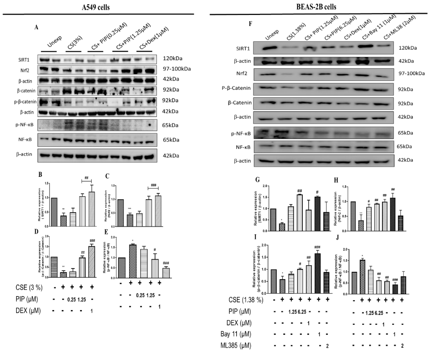 Ijms 23 14722 g002 Ijms 23 14722 g002