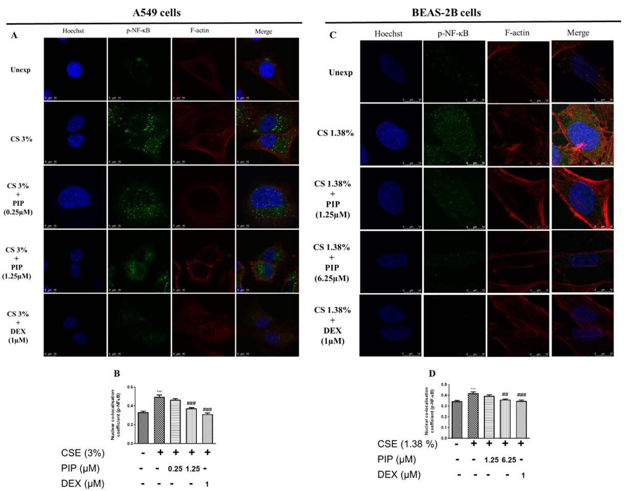 Ijms 23 14722 g003 Ijms 23 14722 g003