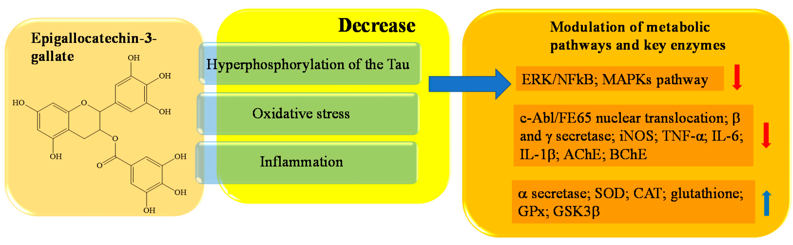 IJMS | Free Full-Text | The Neuroprotective Potentiality Of Flavonoids ...