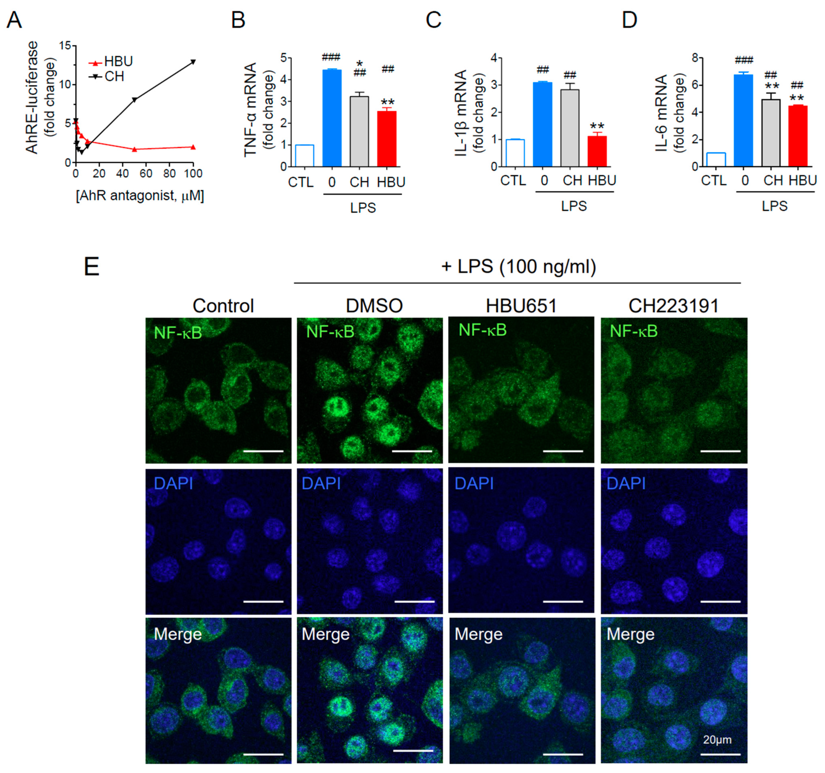 Ijms 23 14871 g001 Ijms 23 14871 g001