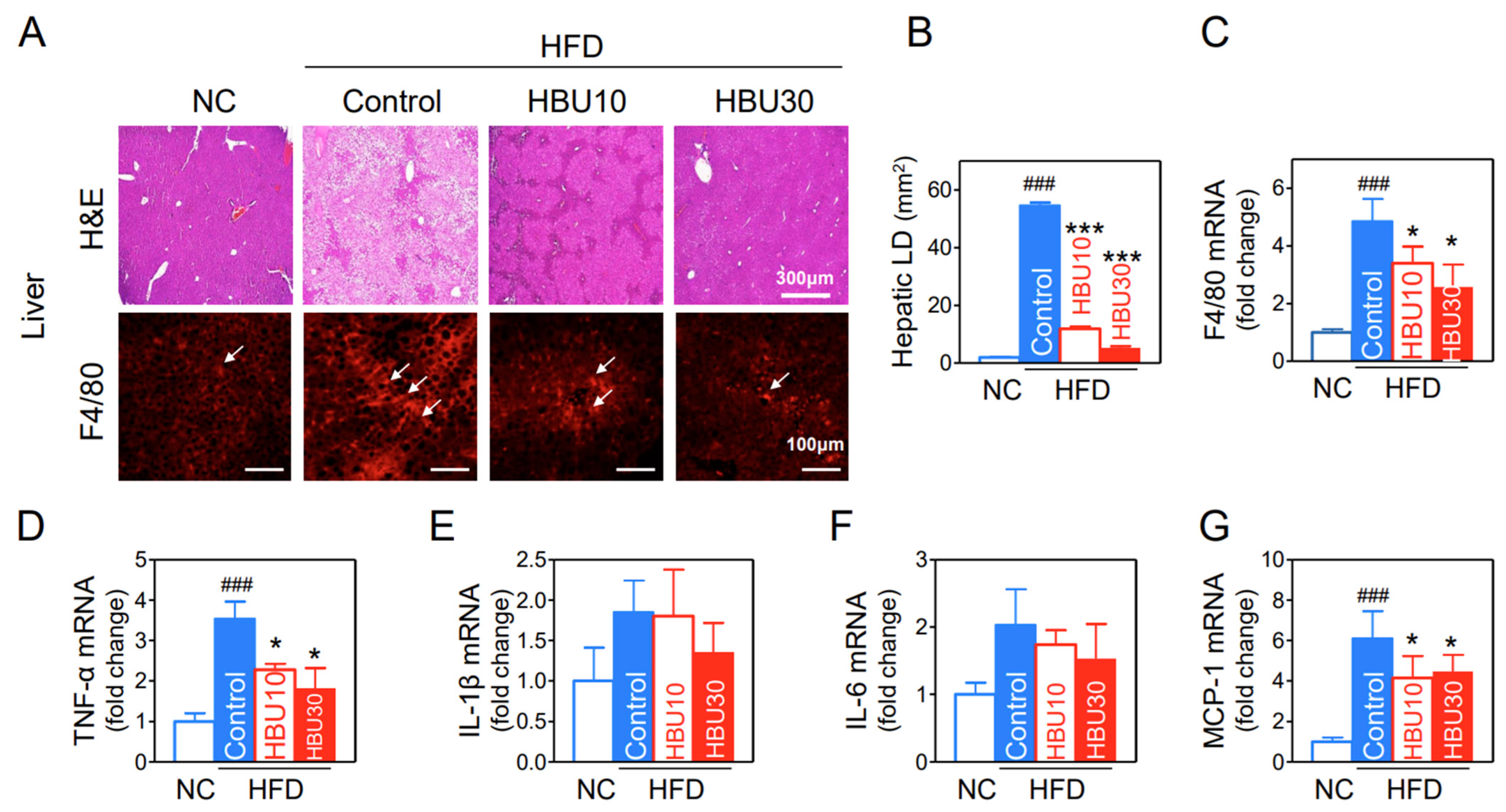 Ijms 23 14871 g006 Ijms 23 14871 g006