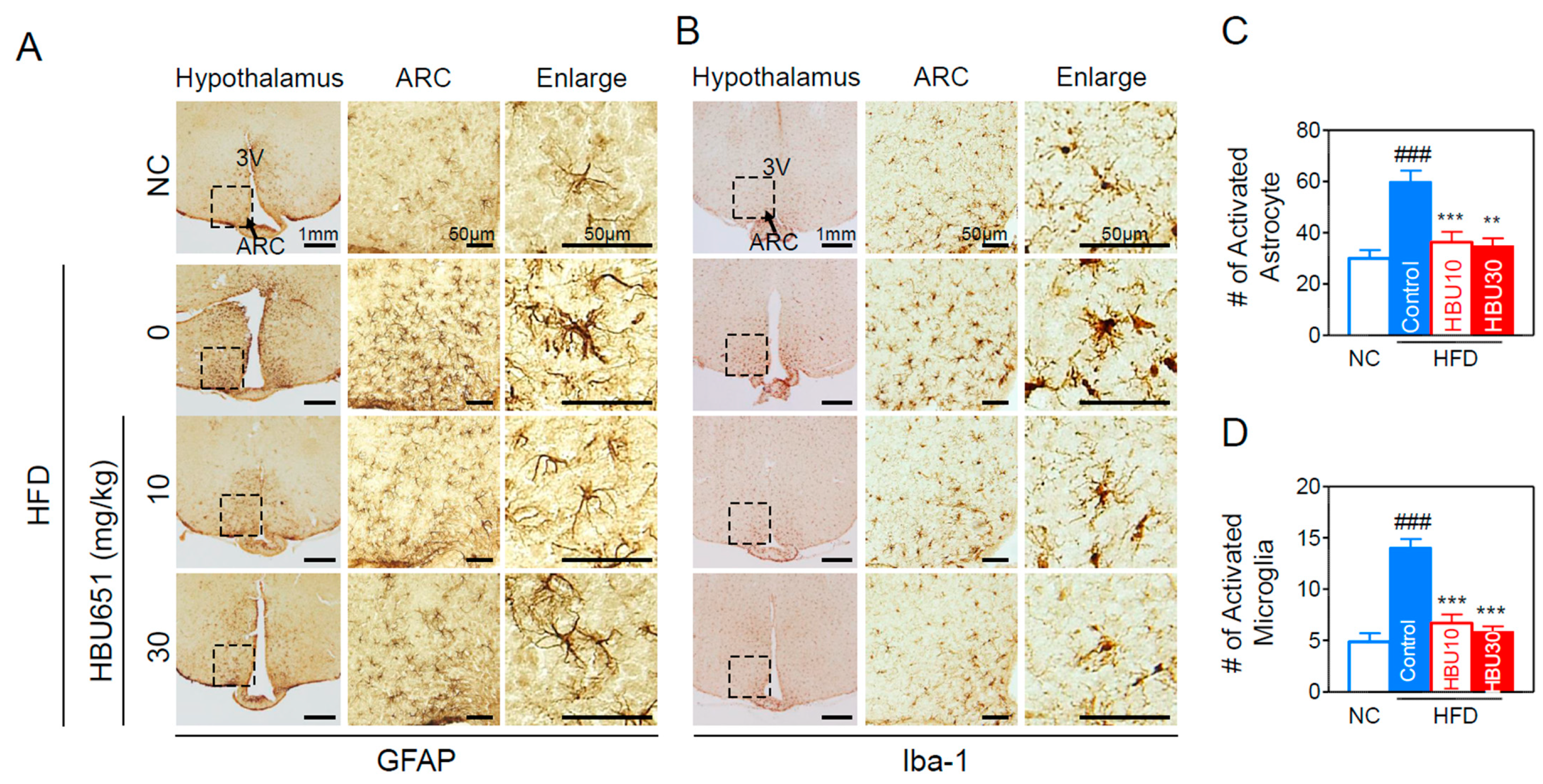 Ijms 23 14871 g008 Ijms 23 14871 g008