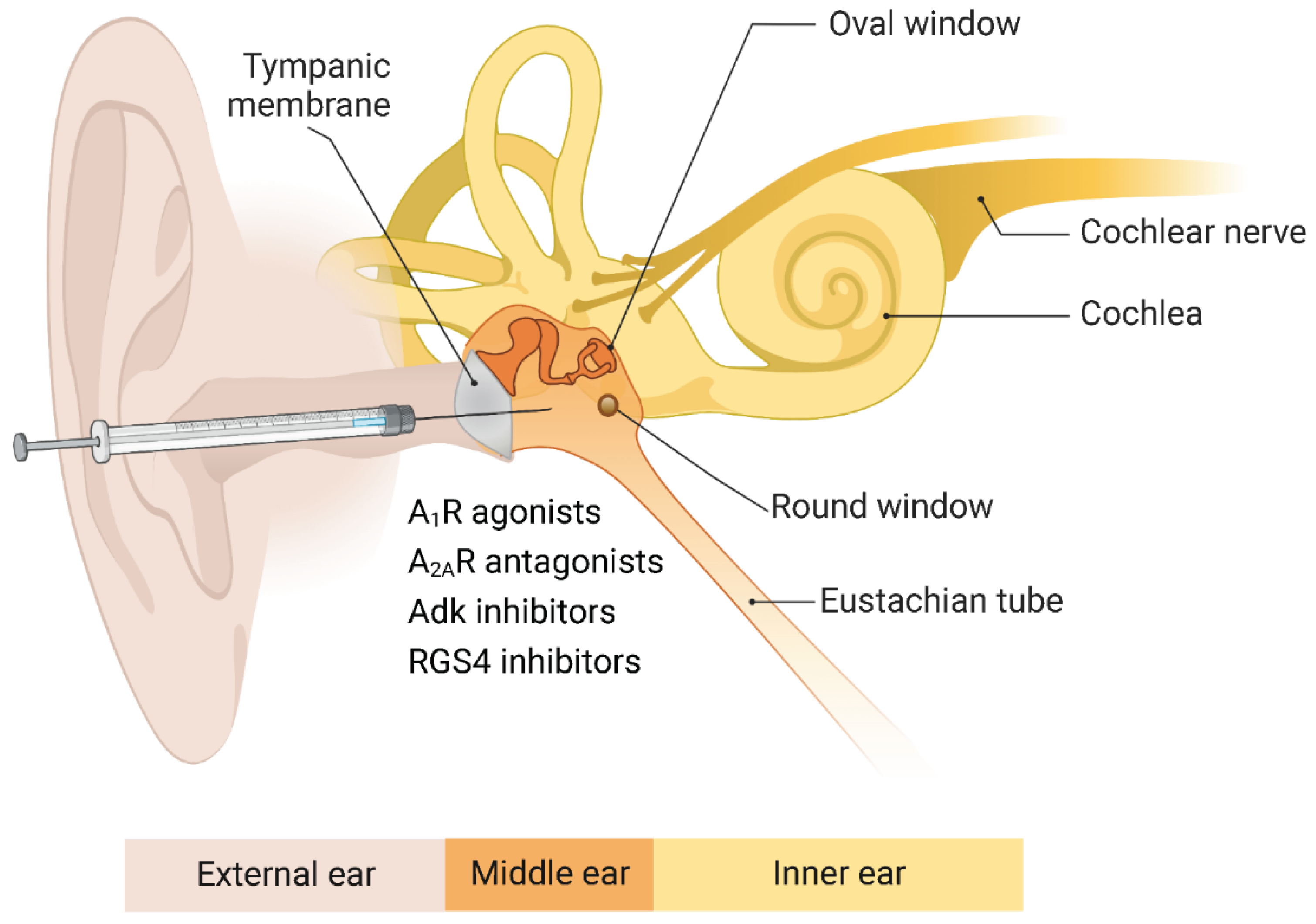 Ijms 23 14874 g004 Ijms 23 14874 g004