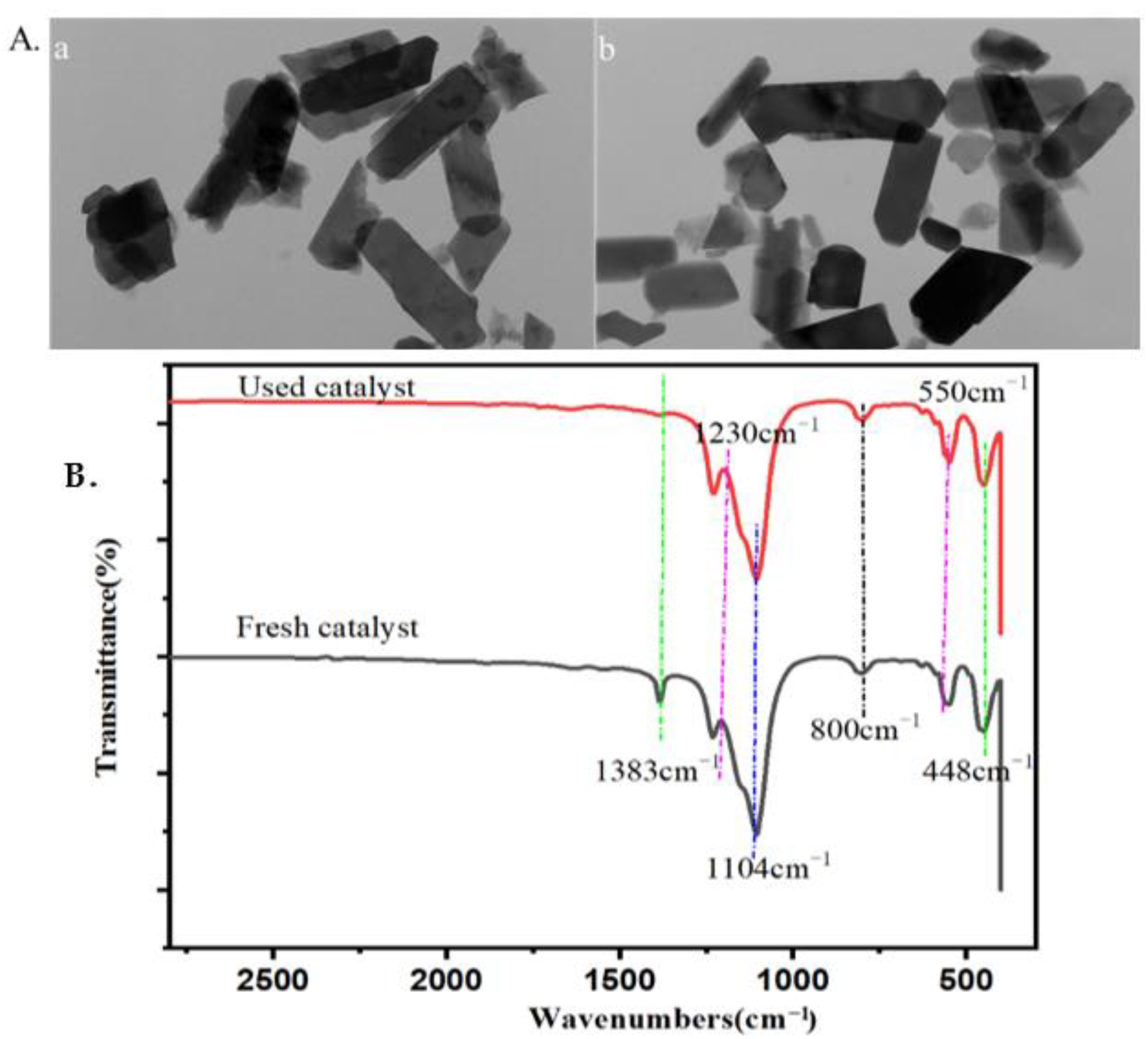 Ijms 23 14901 g002 Ijms 23 14901 g002