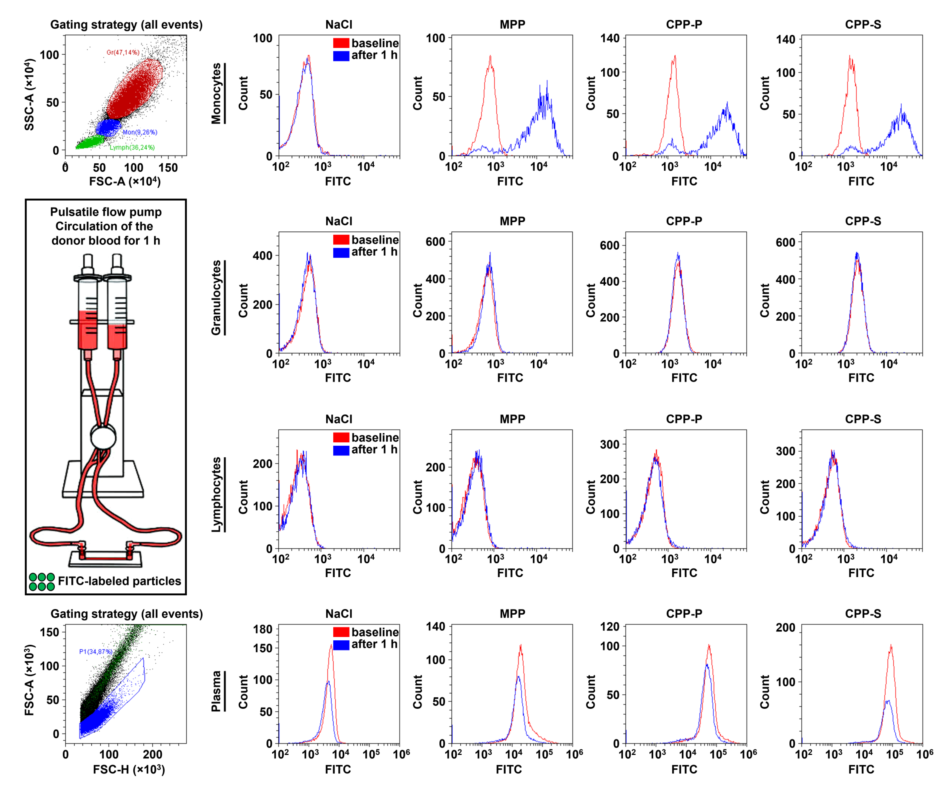 Ijms 23 14941 g006 Ijms 23 14941 g006