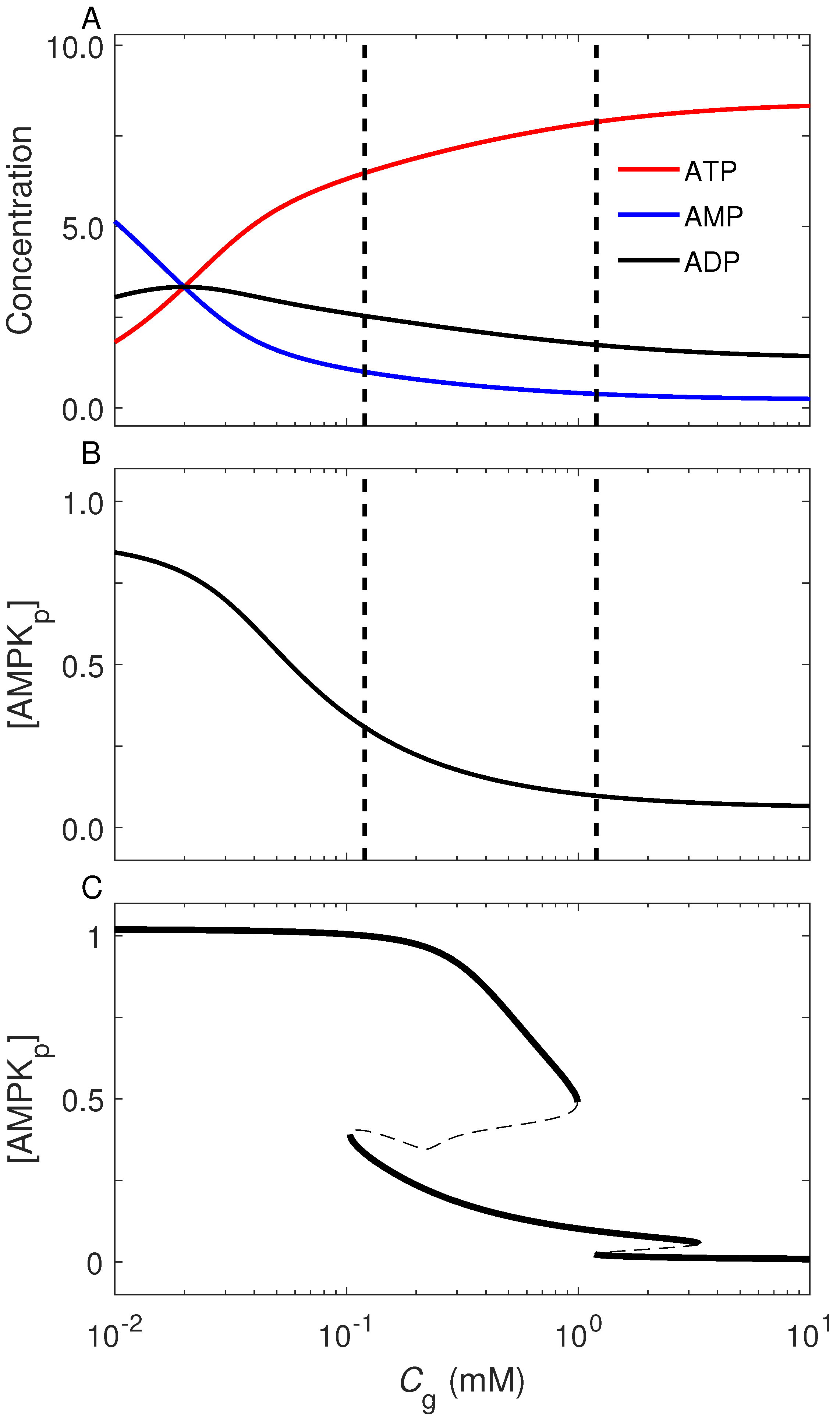 Ijms 23 14945 g002 Ijms 23 14945 g002