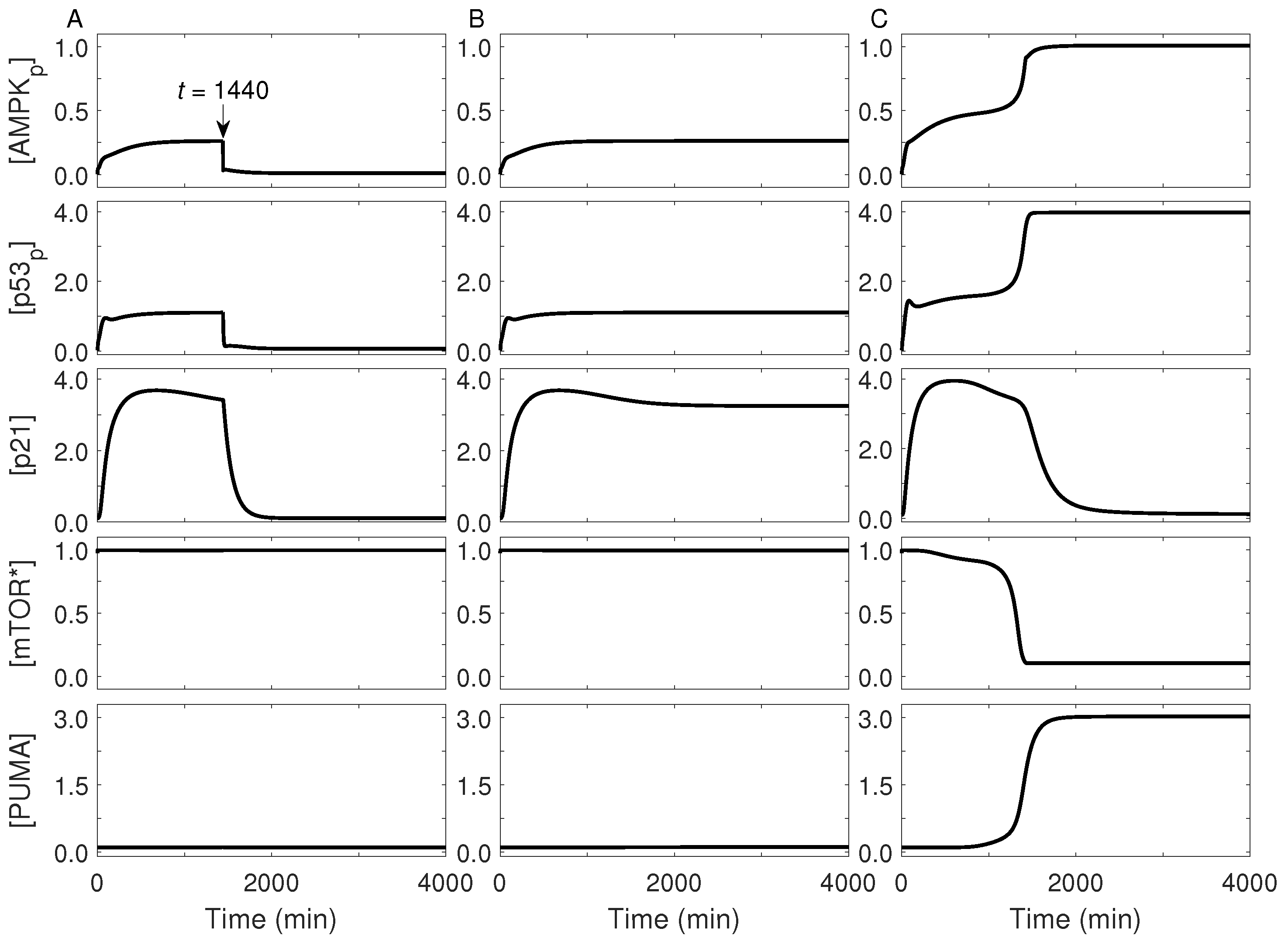 Ijms 23 14945 g003 Ijms 23 14945 g003