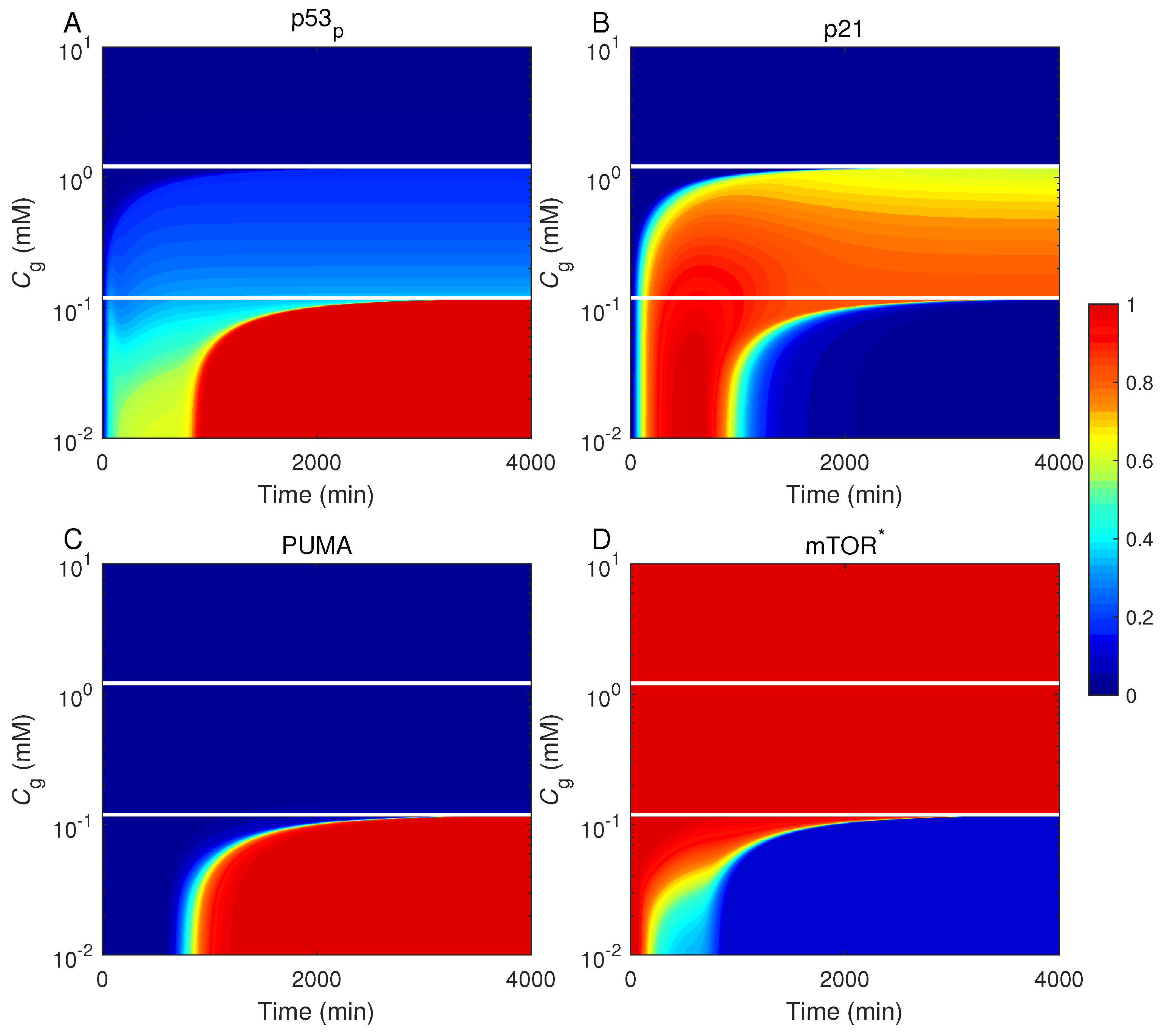 Ijms 23 14945 g004 Ijms 23 14945 g004