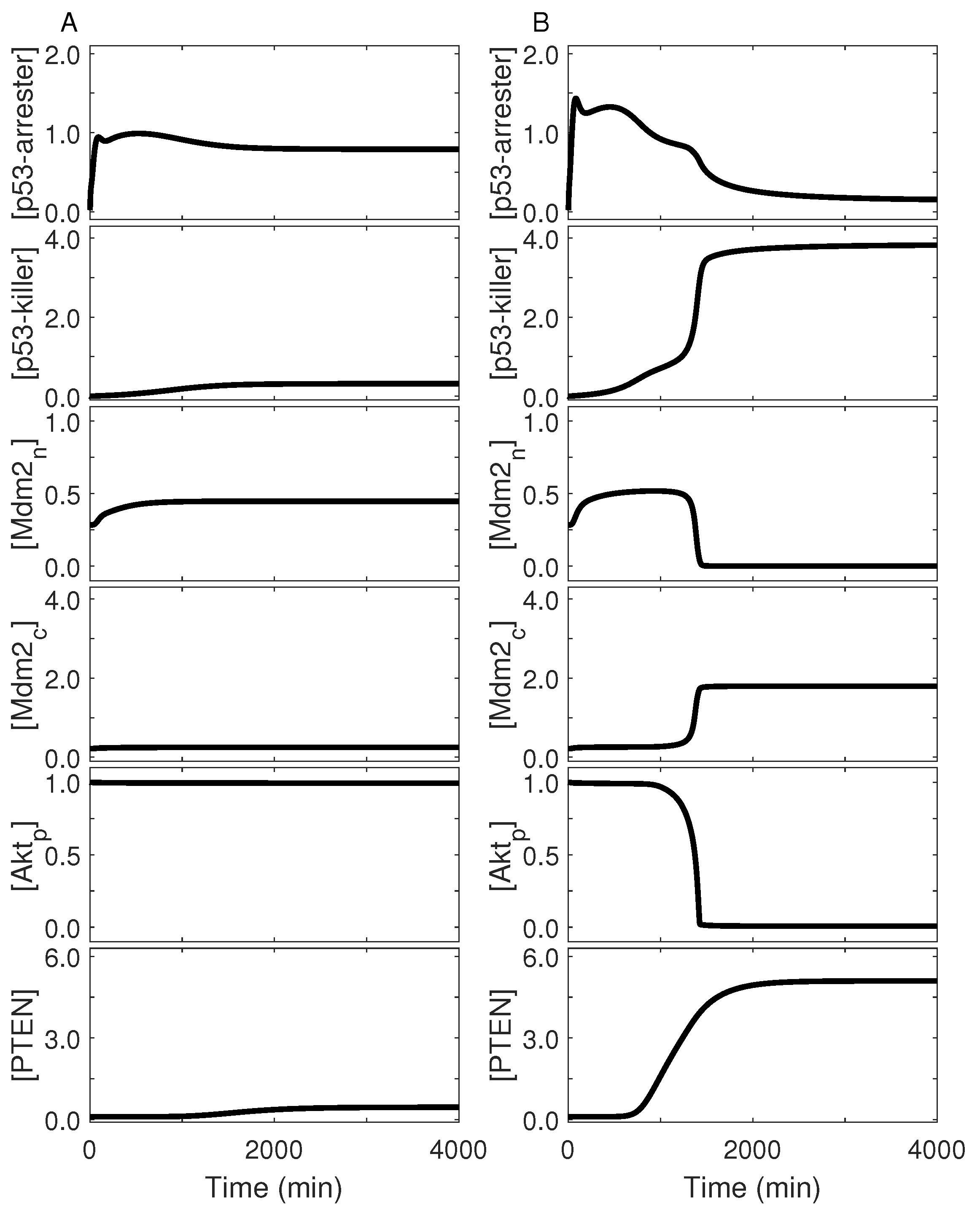 Ijms 23 14945 g005 Ijms 23 14945 g005