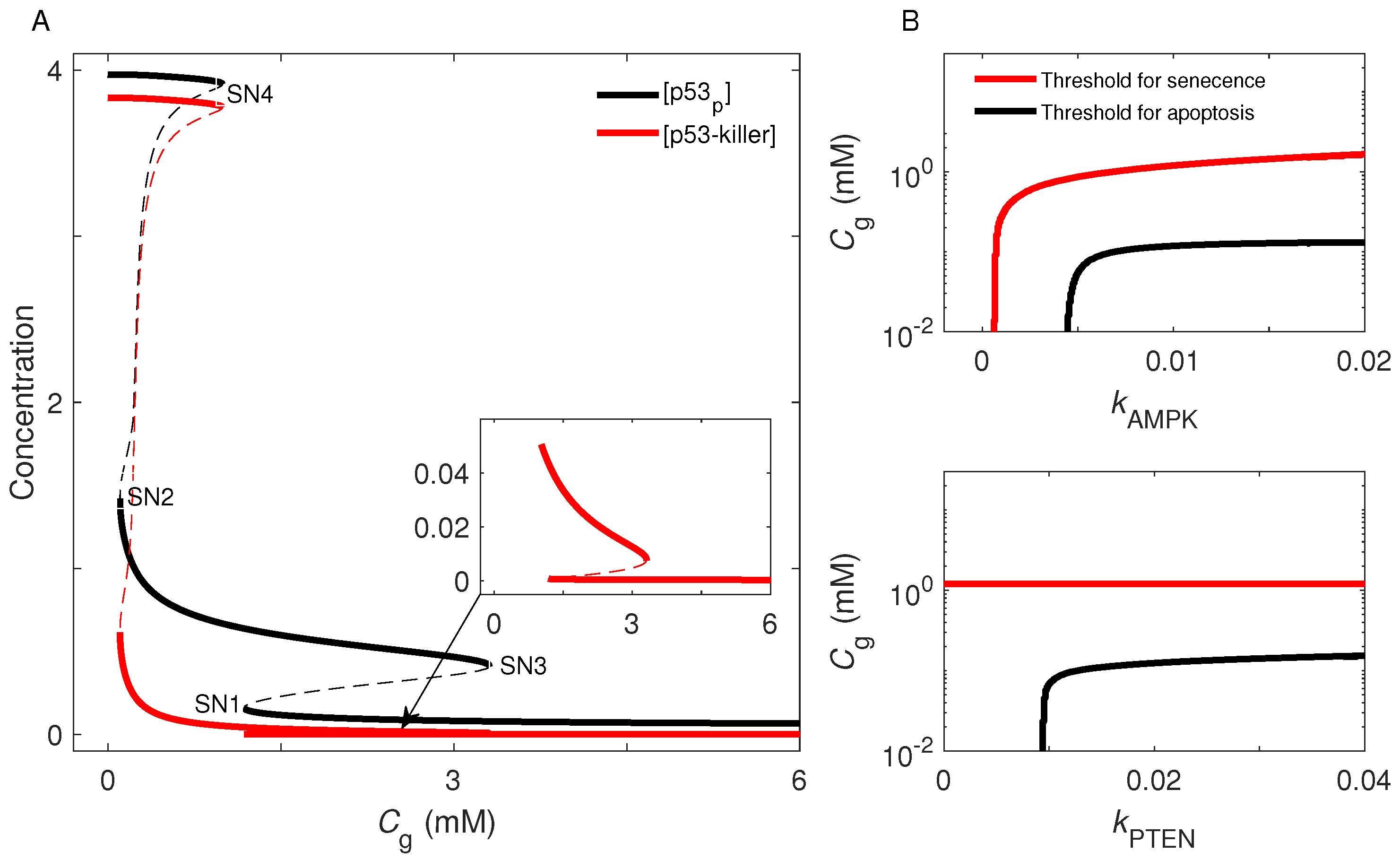 Ijms 23 14945 g006 Ijms 23 14945 g006
