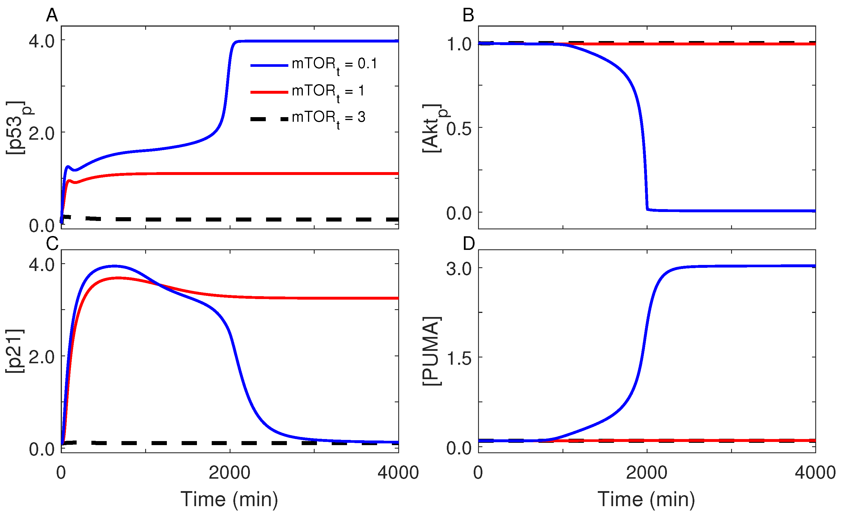Ijms 23 14945 g007 Ijms 23 14945 g007