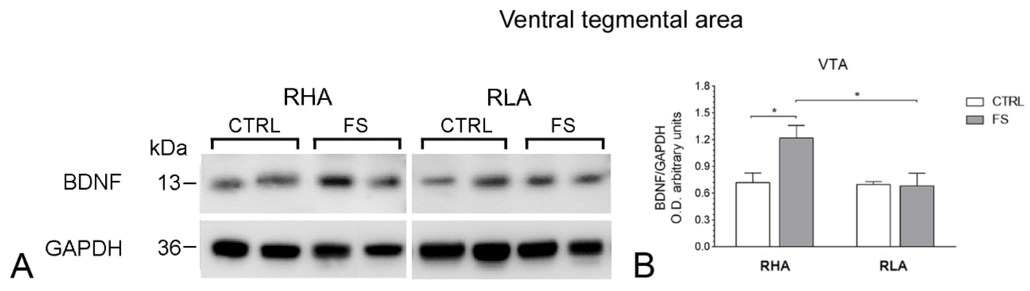 Ijms 23 14995 g001 Ijms 23 14995 g001