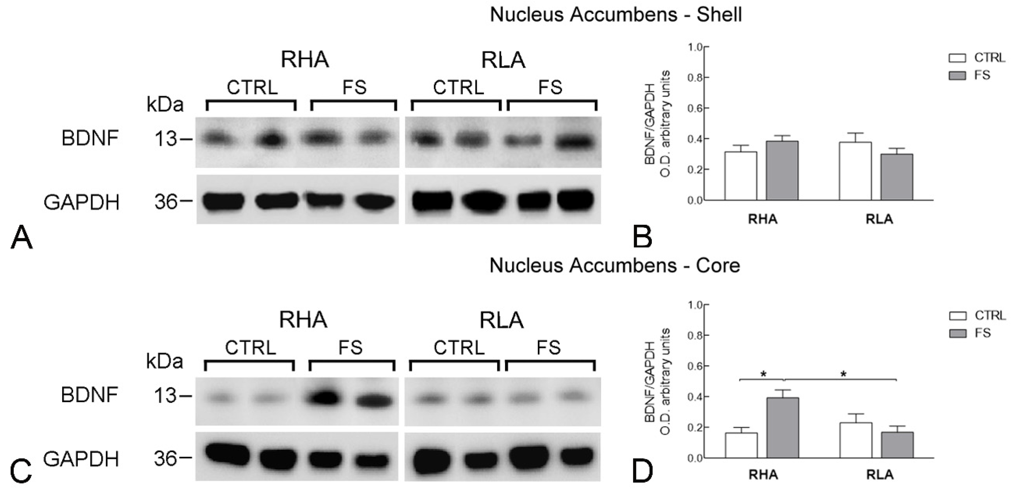 Ijms 23 14995 g002 Ijms 23 14995 g002