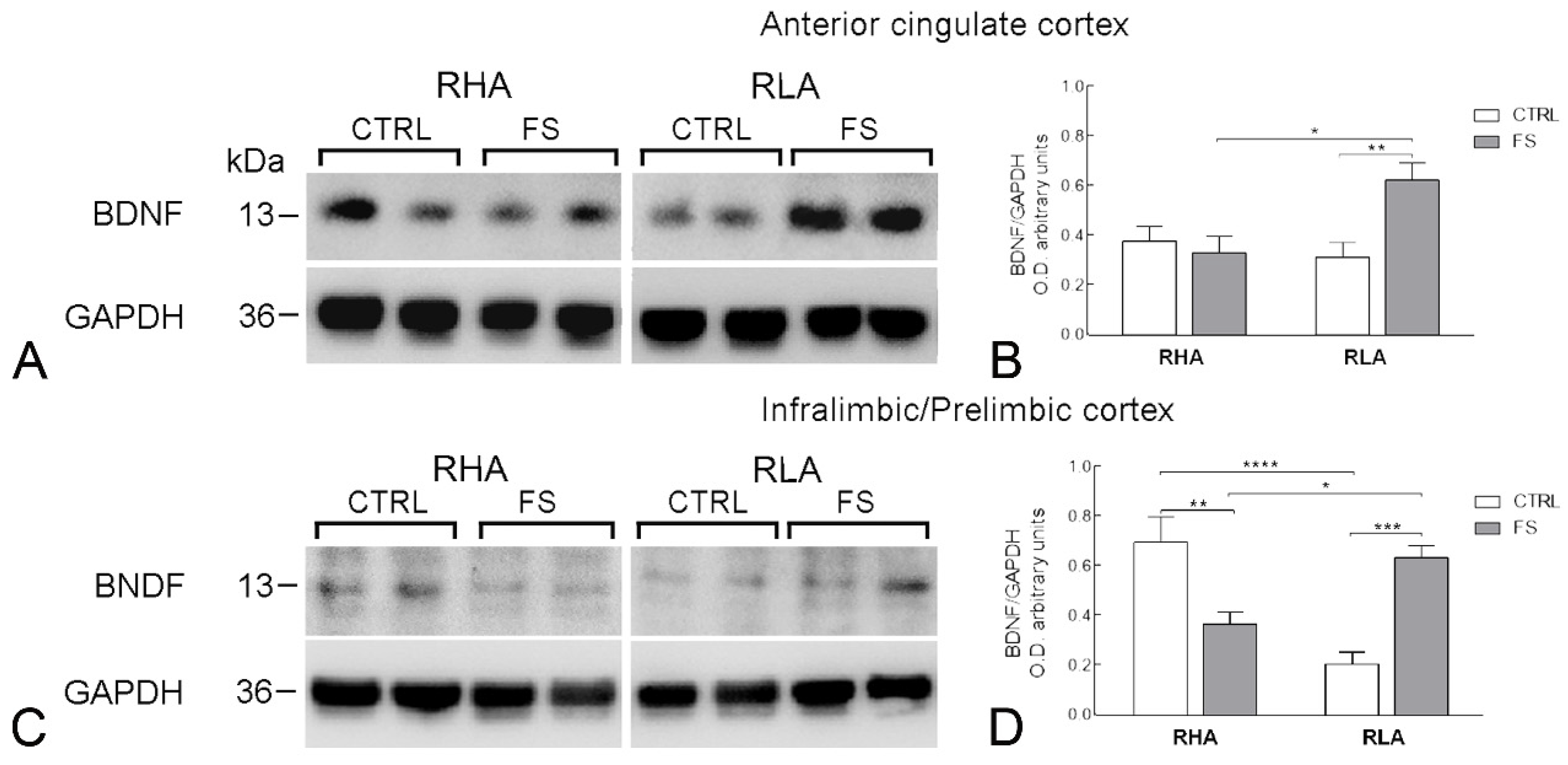 Ijms 23 14995 g003 Ijms 23 14995 g003