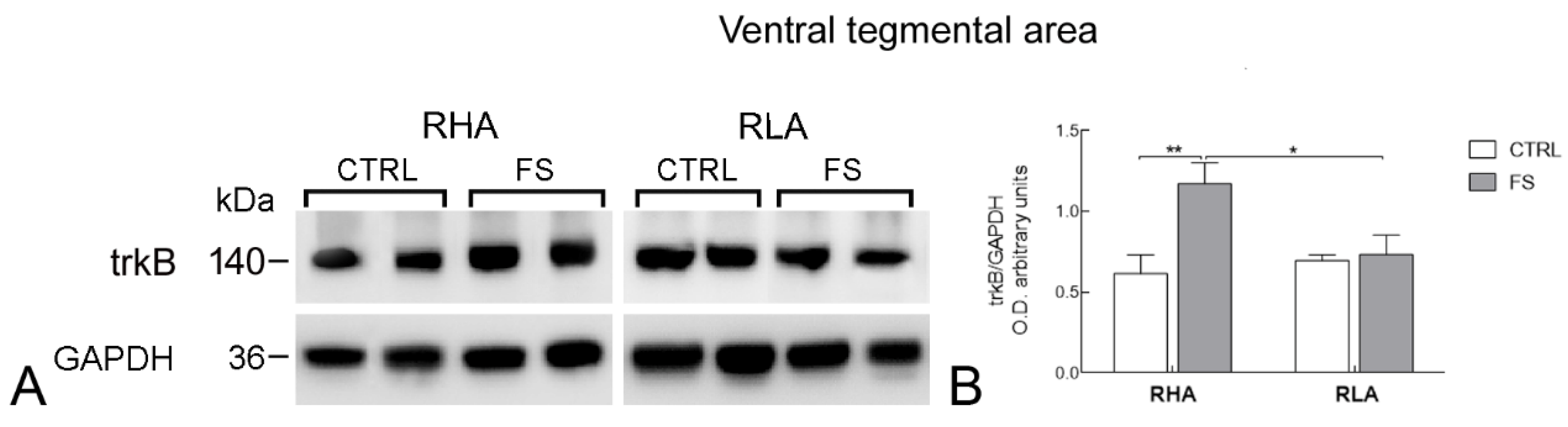 Ijms 23 14995 g004 Ijms 23 14995 g004