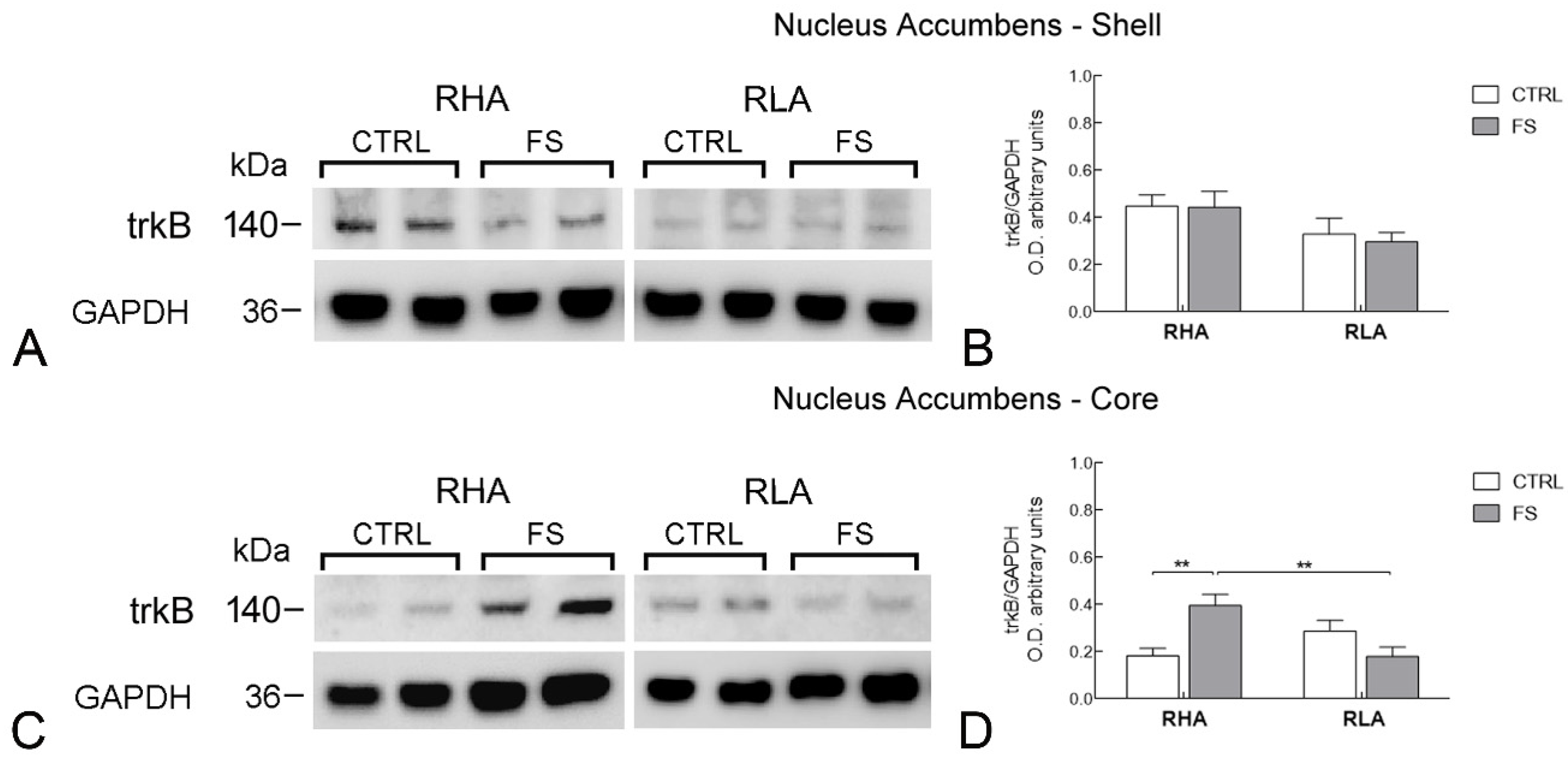 Ijms 23 14995 g005 Ijms 23 14995 g005