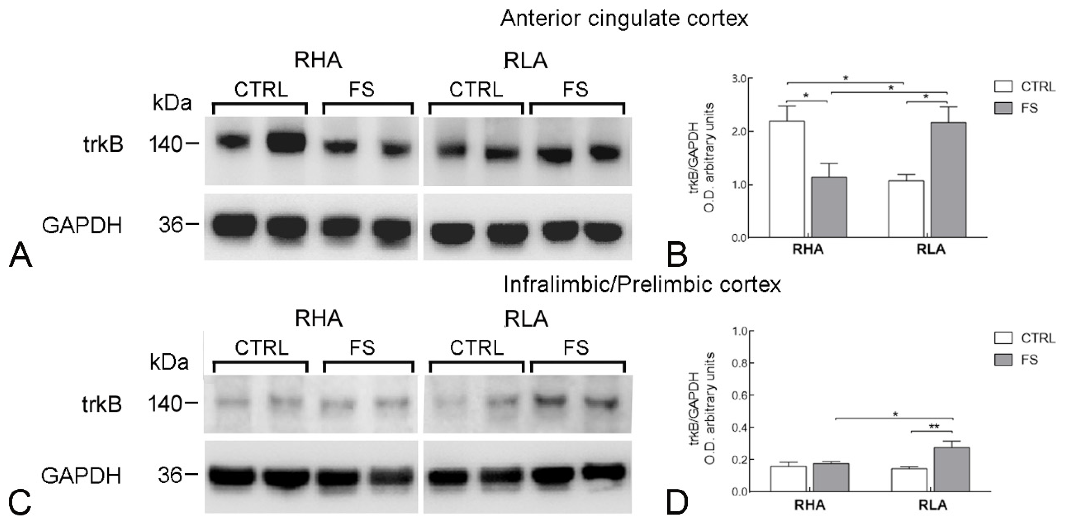 Ijms 23 14995 g006 Ijms 23 14995 g006