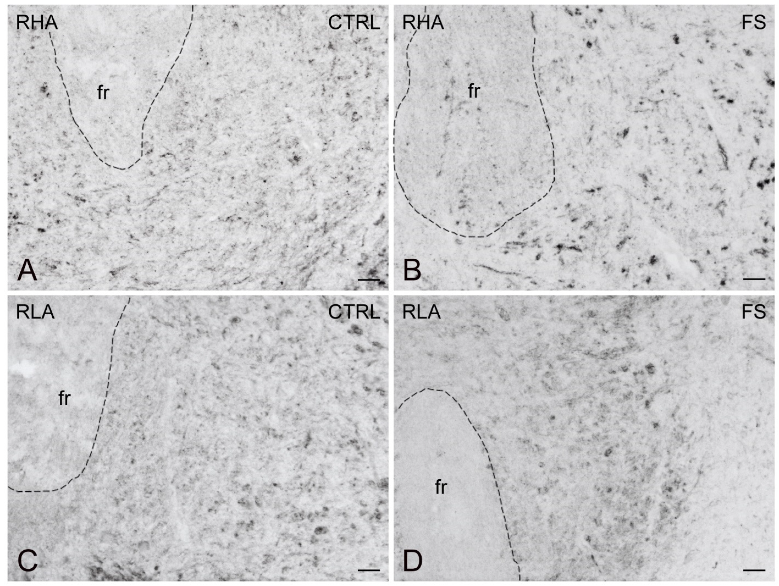 Ijms 23 14995 g007 Ijms 23 14995 g007
