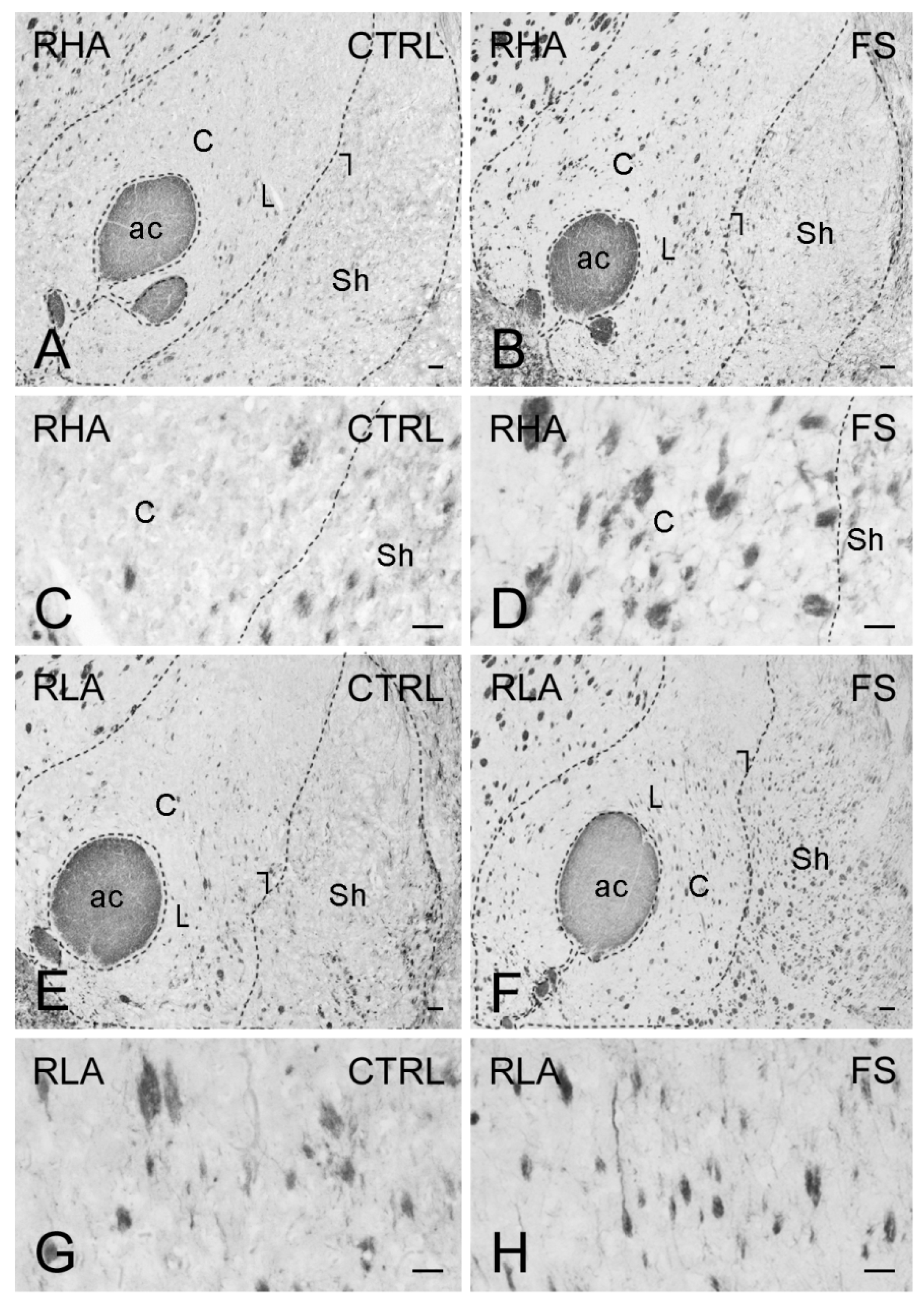 Ijms 23 14995 g008 Ijms 23 14995 g008