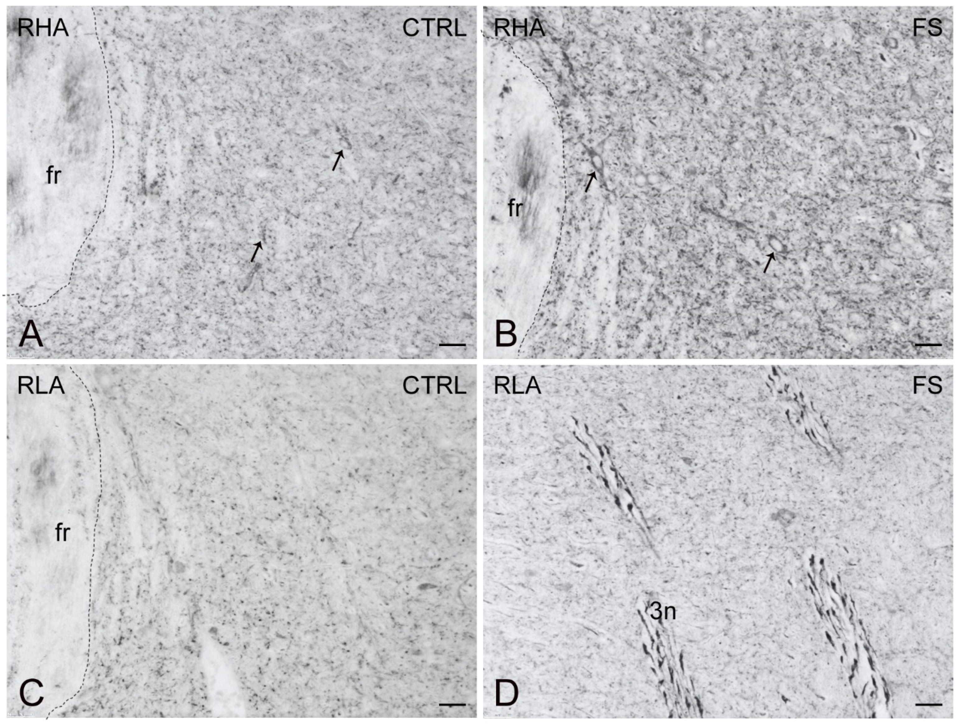 Ijms 23 14995 g010 Ijms 23 14995 g010