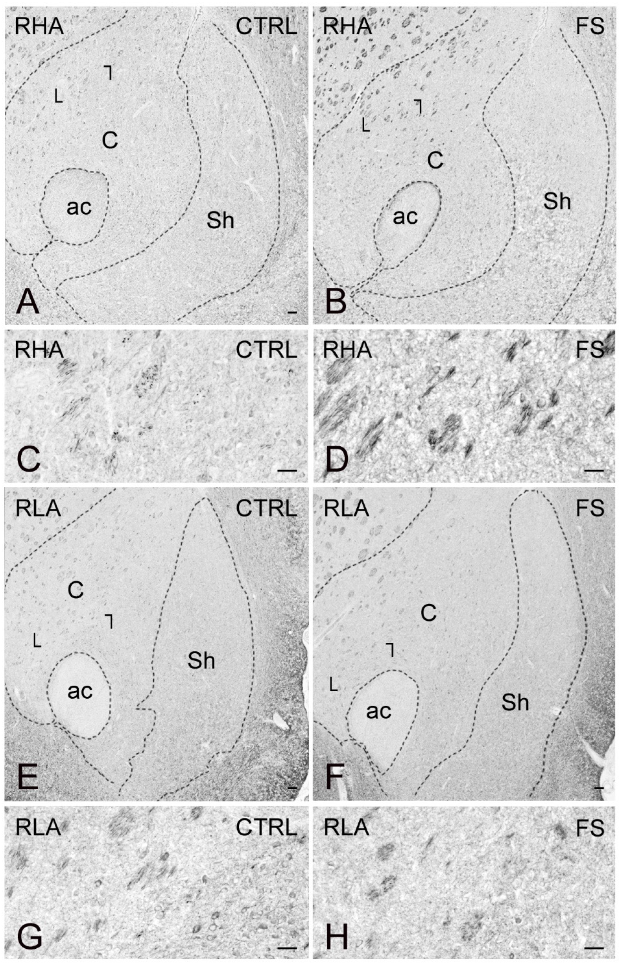 Ijms 23 14995 g011 Ijms 23 14995 g011