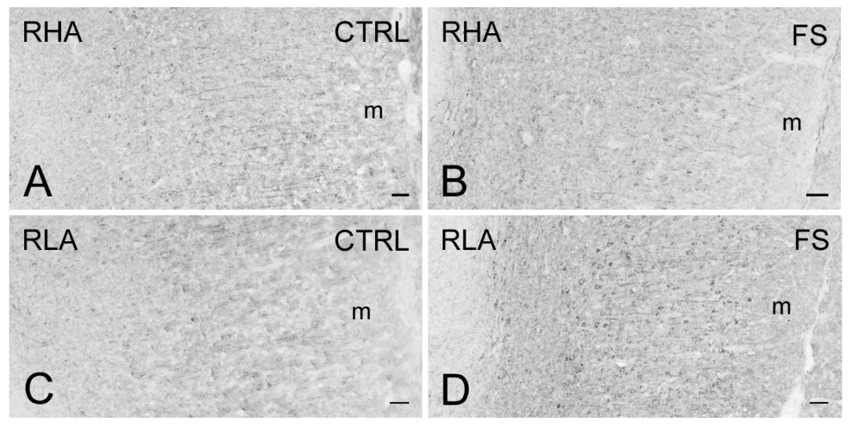 Ijms 23 14995 g012 Ijms 23 14995 g012