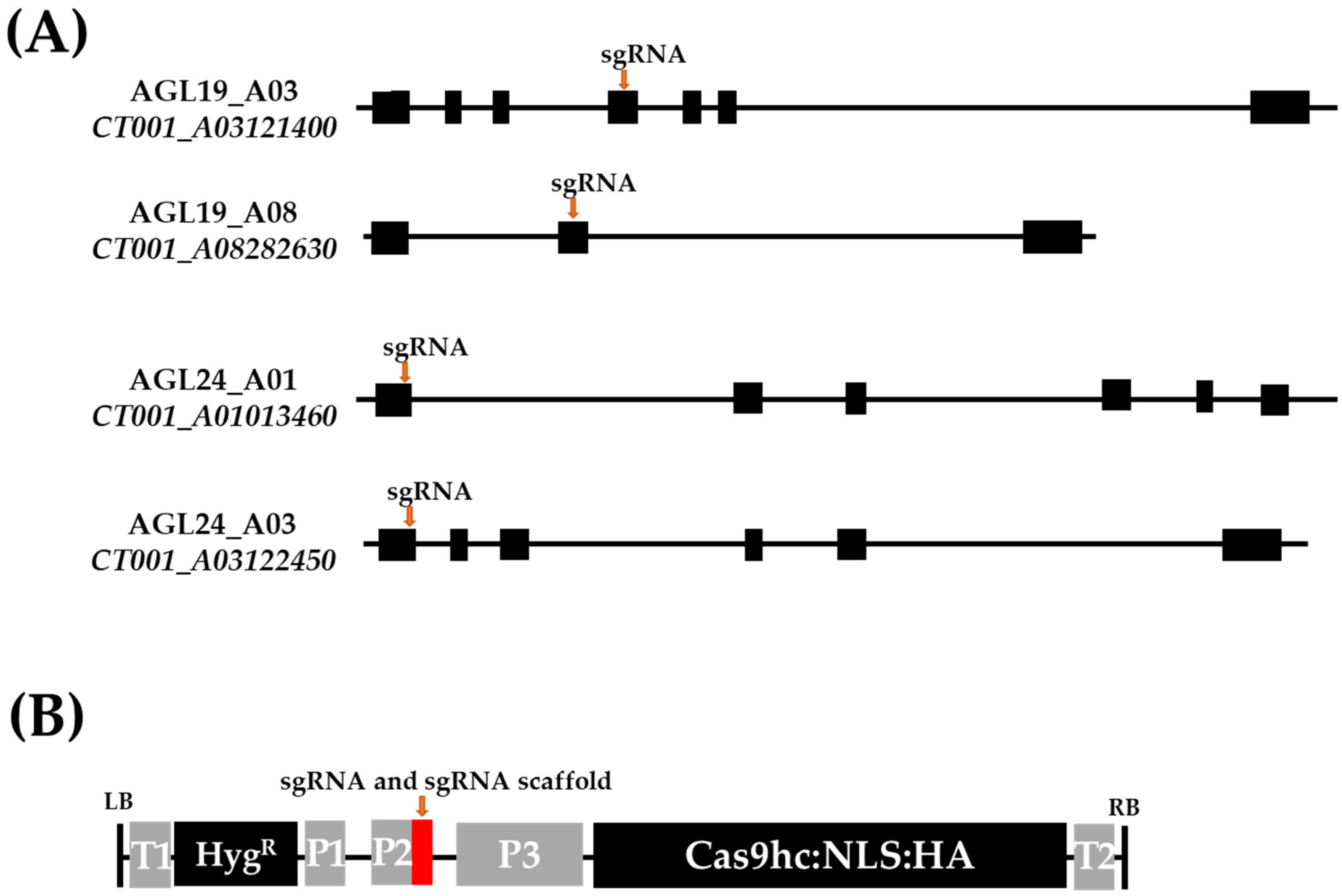 Ijms 23 15009 g001 Ijms 23 15009 g001